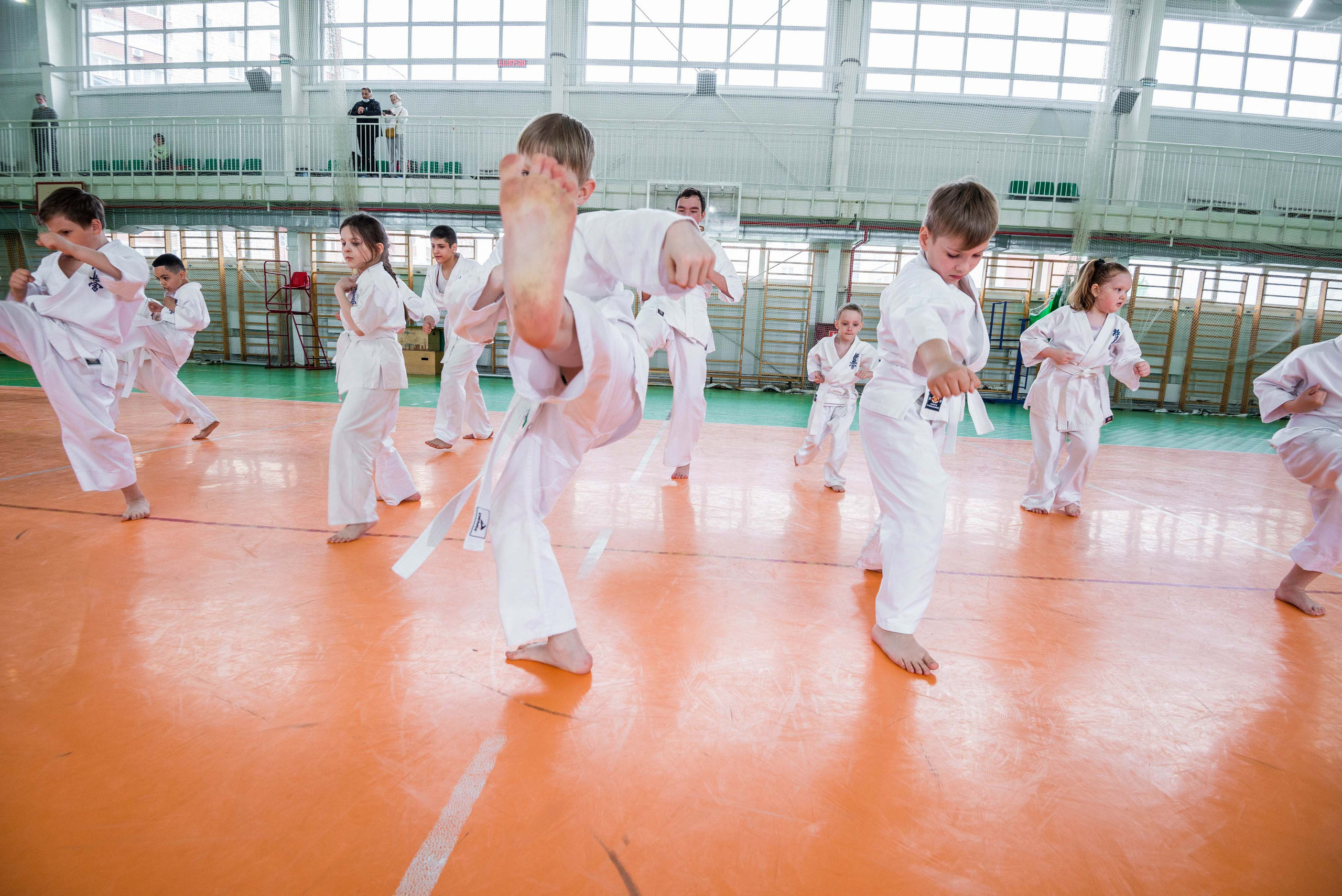 Аттестация киокошинкай клуб «ИППОН», Екатеринбург. Свадебный фотограф на Урале Виктор Соколов