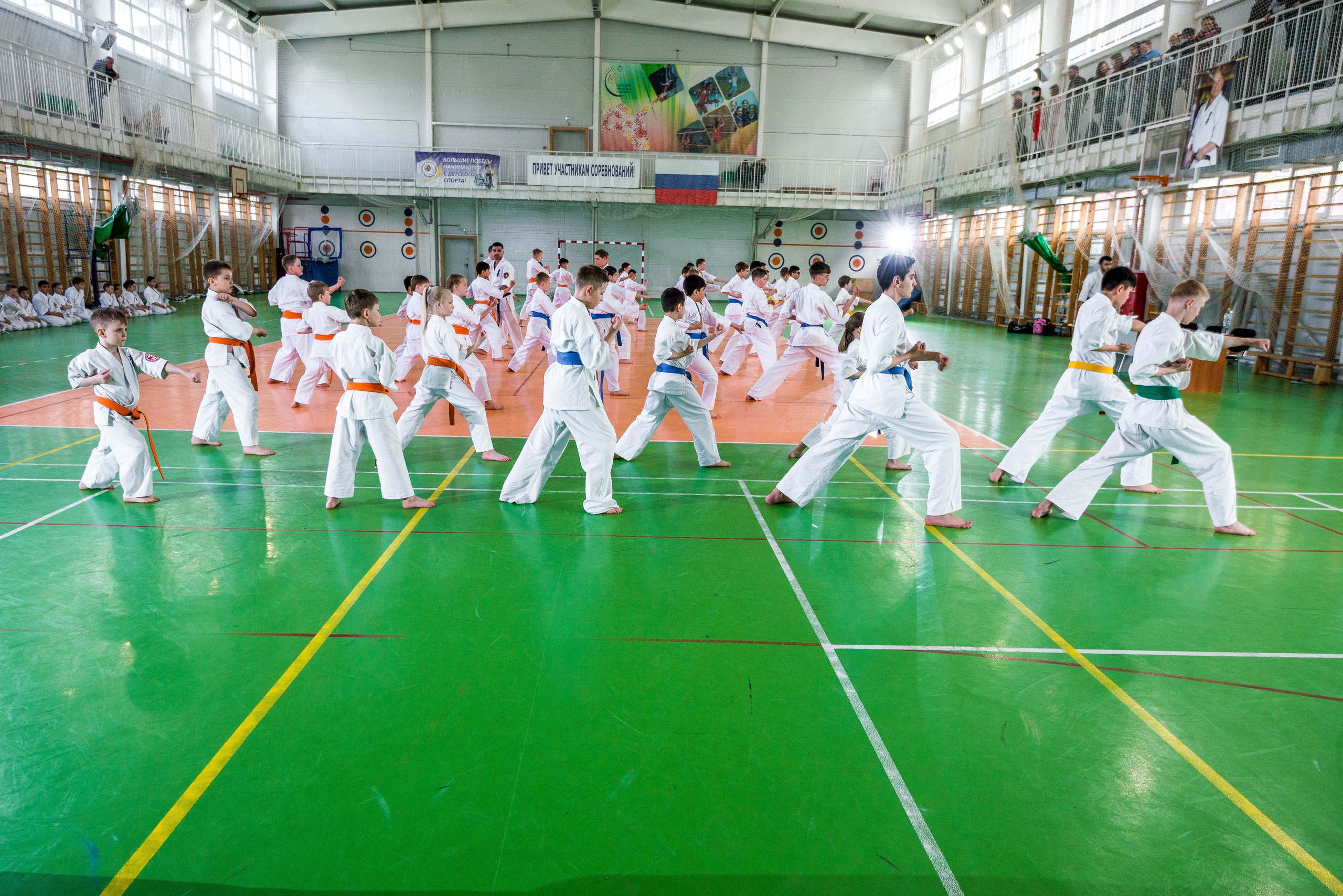 Аттестация киокошинкай клуб «ИППОН», Екатеринбург. Свадебный фотограф на Урале Виктор Соколов