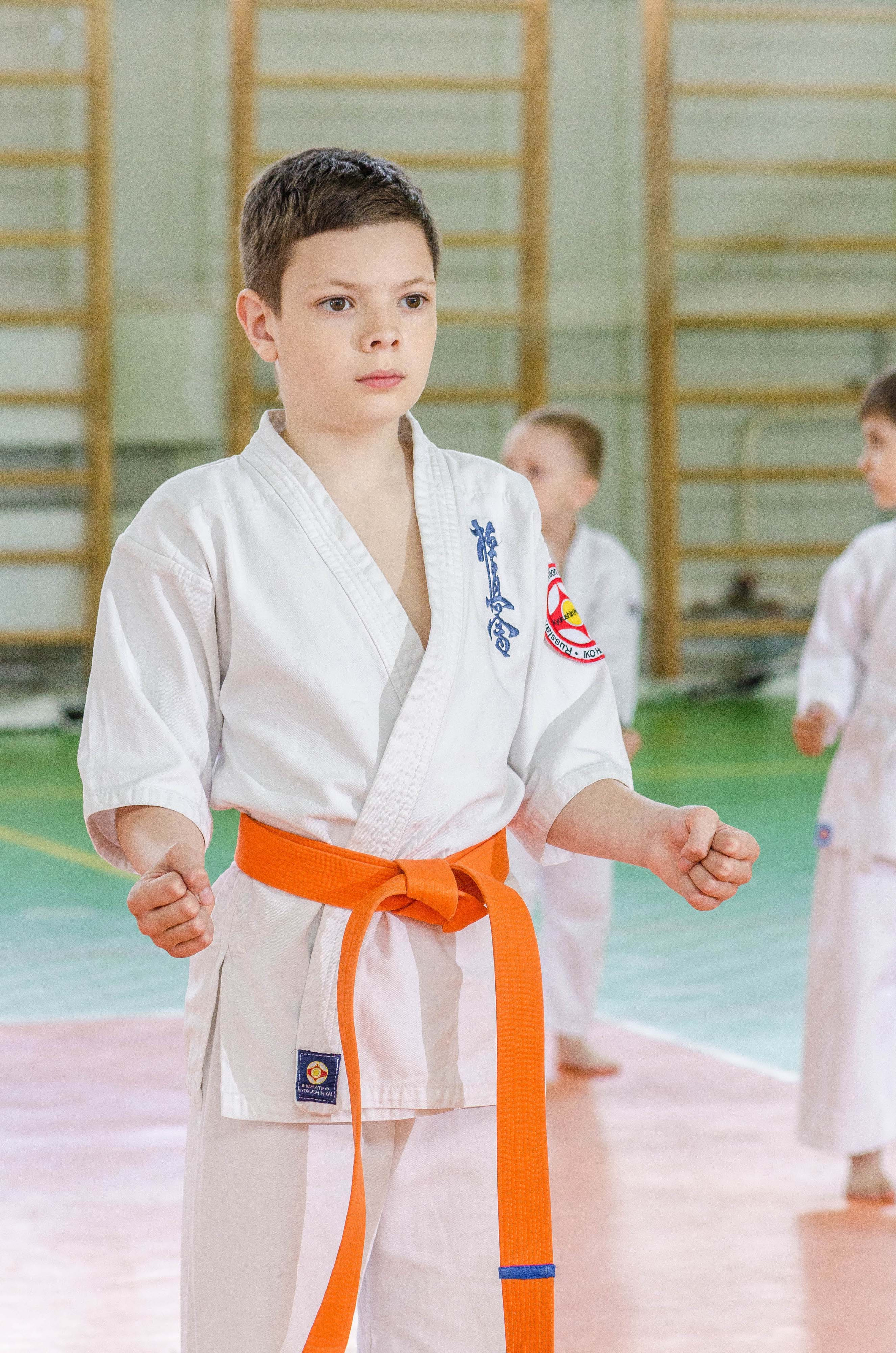 Аттестация киокошинкай клуб «ИППОН», Екатеринбург. Свадебный фотограф на Урале Виктор Соколов