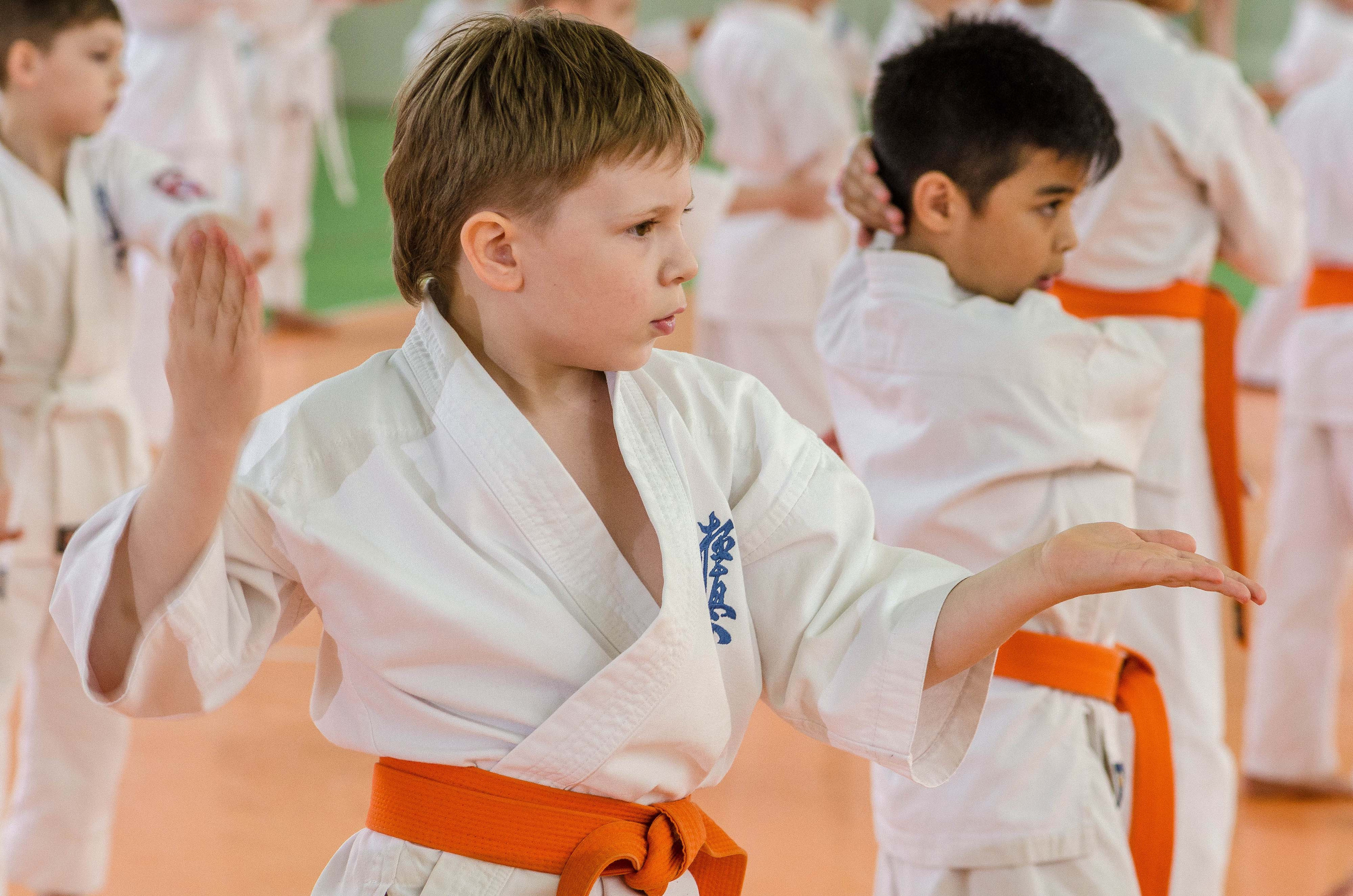 Аттестация киокошинкай клуб «ИППОН», Екатеринбург. Свадебный фотограф на Урале Виктор Соколов
