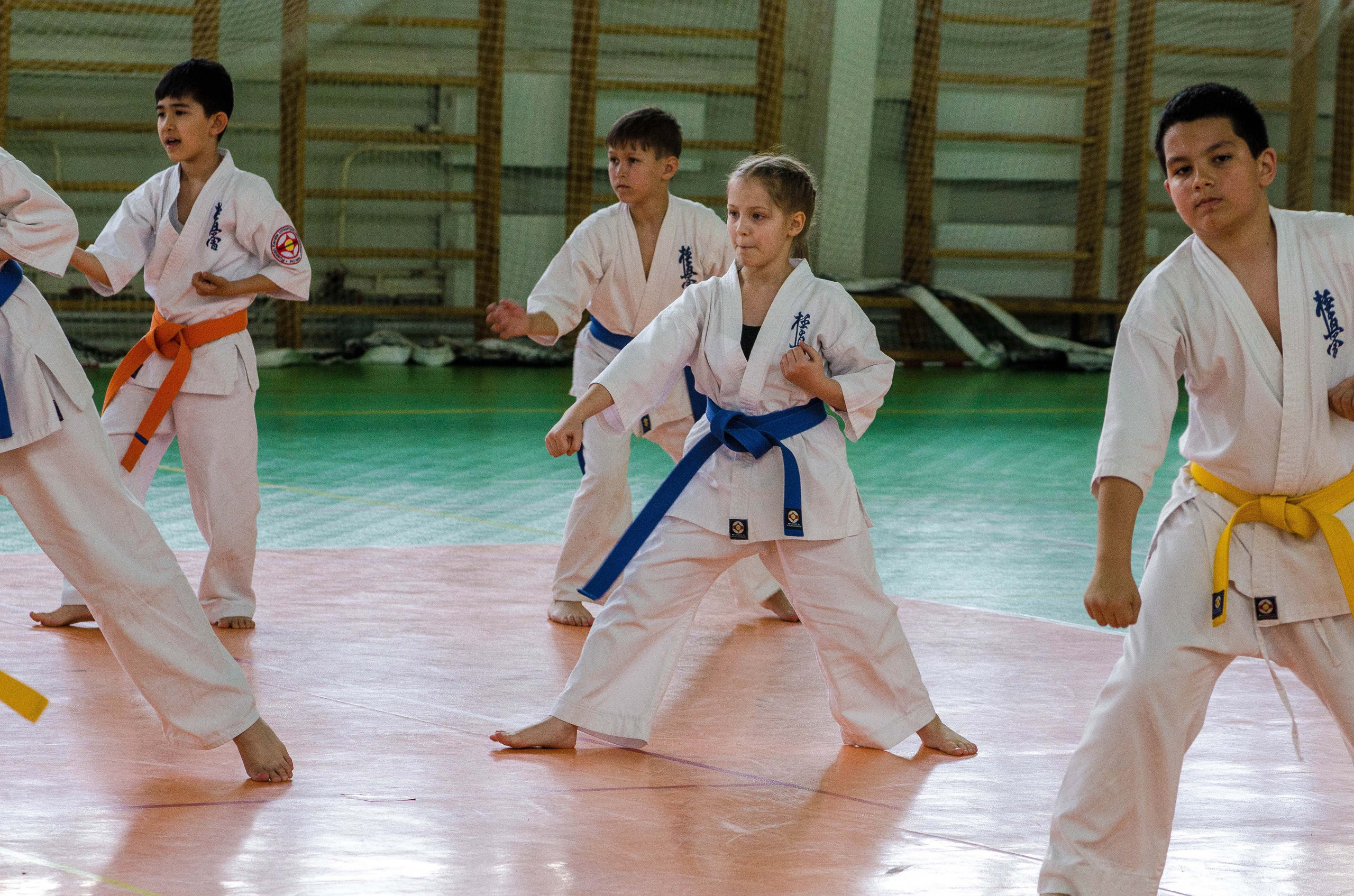 Аттестация киокошинкай клуб «ИППОН», Екатеринбург. Свадебный фотограф на Урале Виктор Соколов