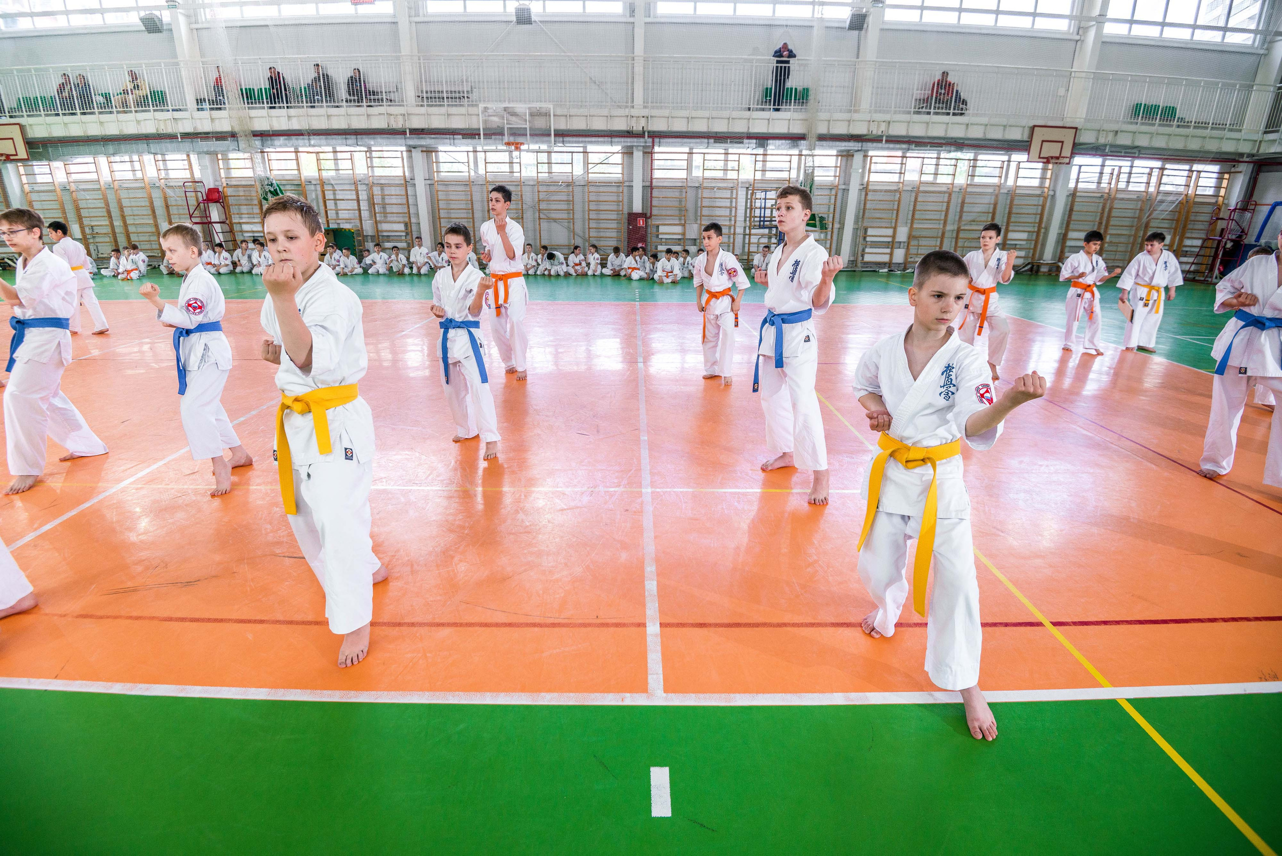 Аттестация киокошинкай клуб «ИППОН», Екатеринбург. Свадебный фотограф на Урале Виктор Соколов