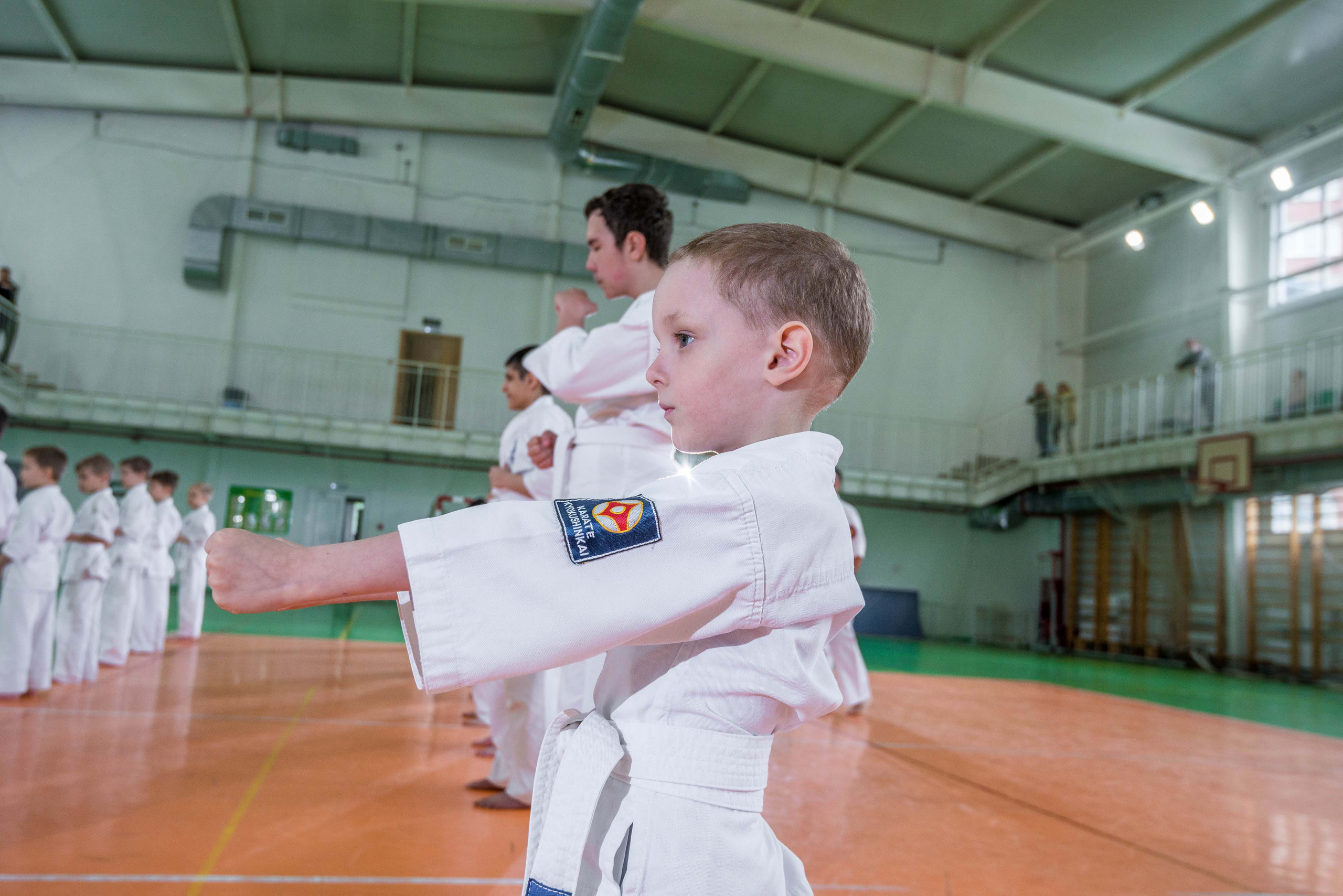 Аттестация киокошинкай клуб «ИППОН», Екатеринбург. Свадебный фотограф на Урале Виктор Соколов