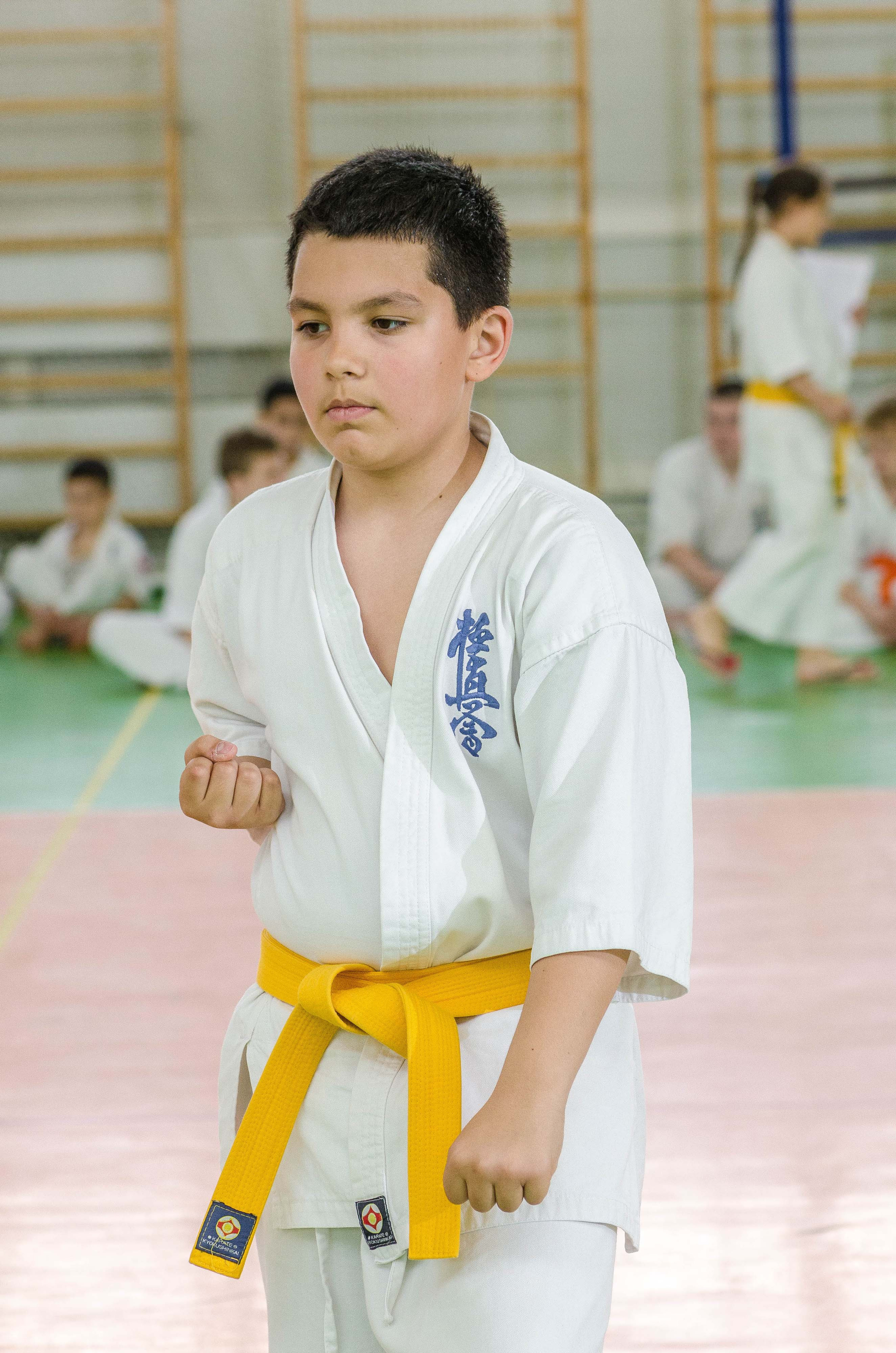 Аттестация киокошинкай клуб «ИППОН», Екатеринбург. Свадебный фотограф на Урале Виктор Соколов