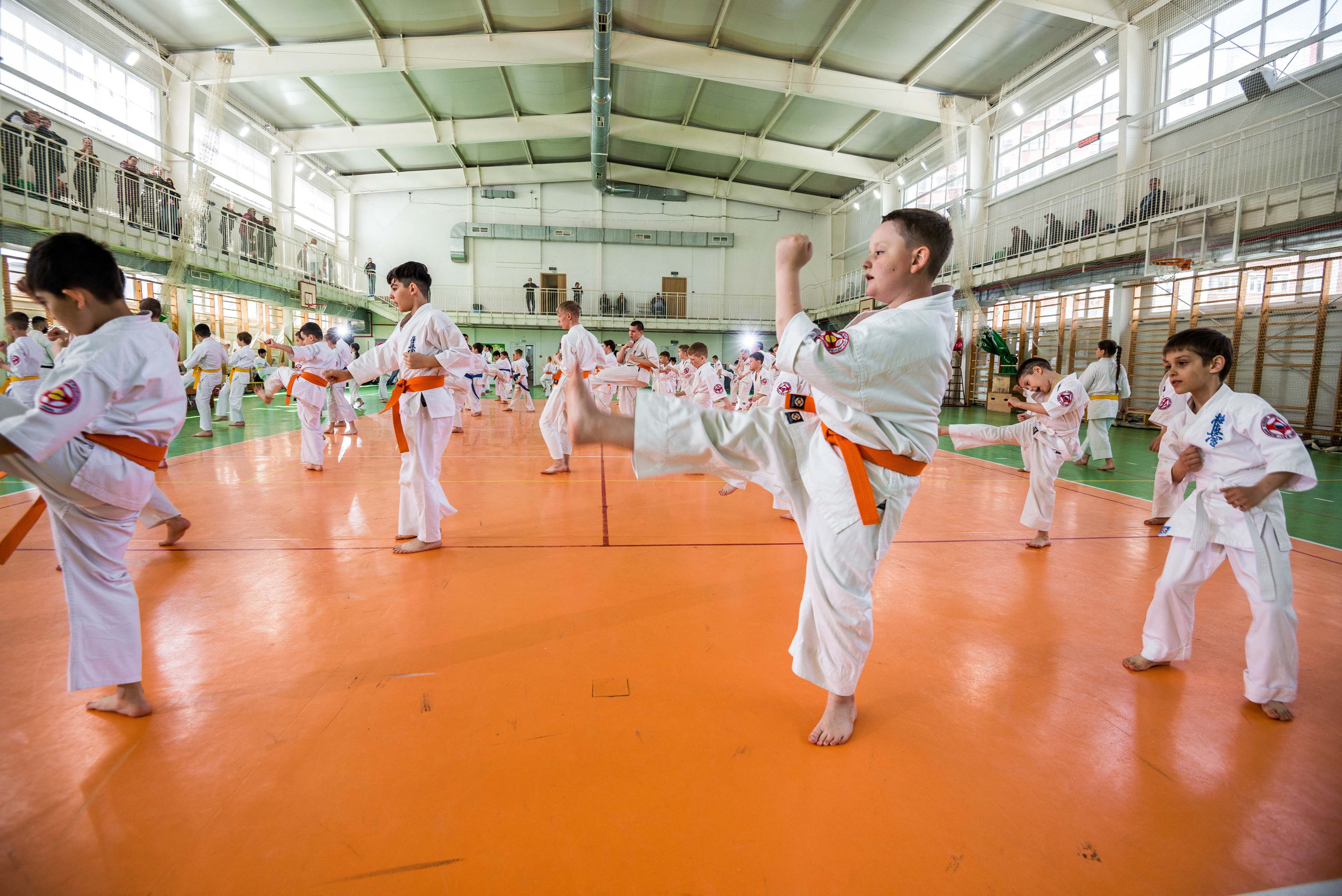 Аттестация киокошинкай клуб «ИППОН», Екатеринбург. Свадебный фотограф на Урале Виктор Соколов