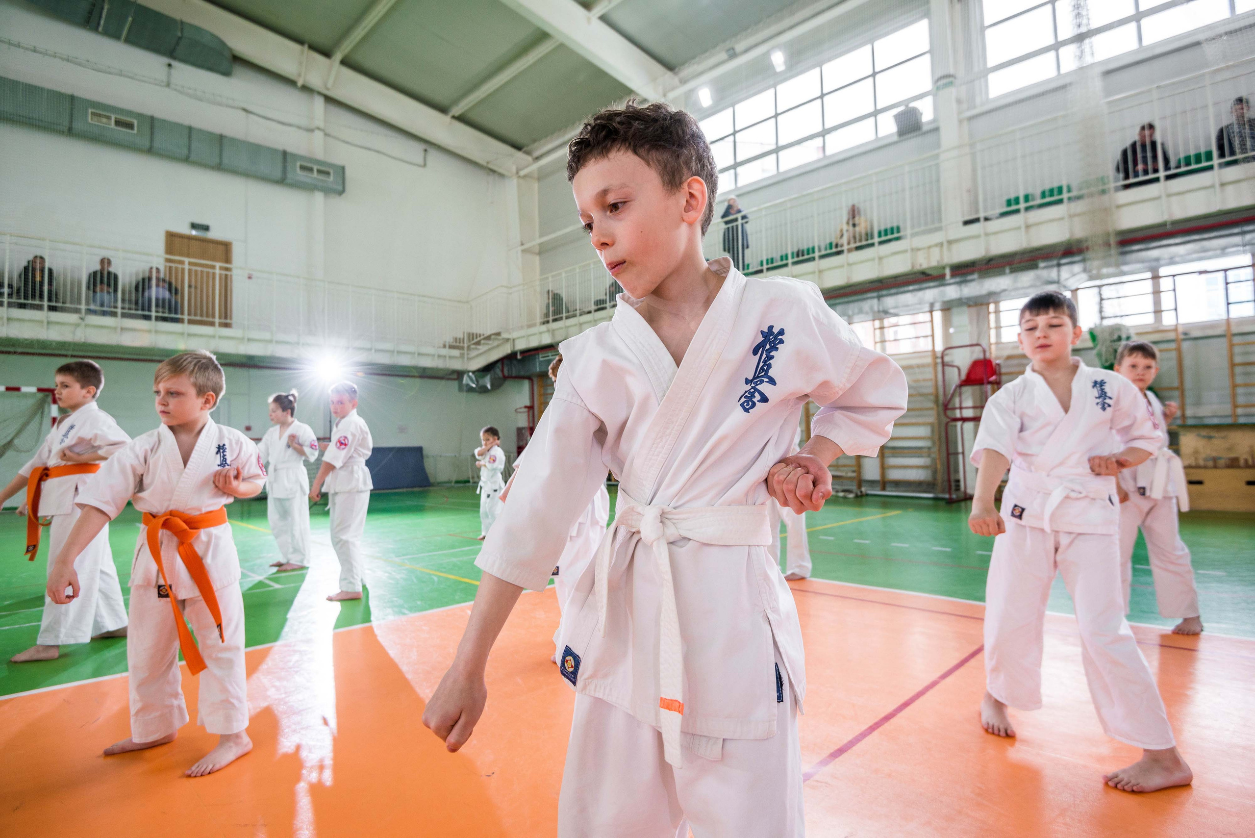 Аттестация киокошинкай клуб «ИППОН», Екатеринбург. Свадебный фотограф на Урале Виктор Соколов