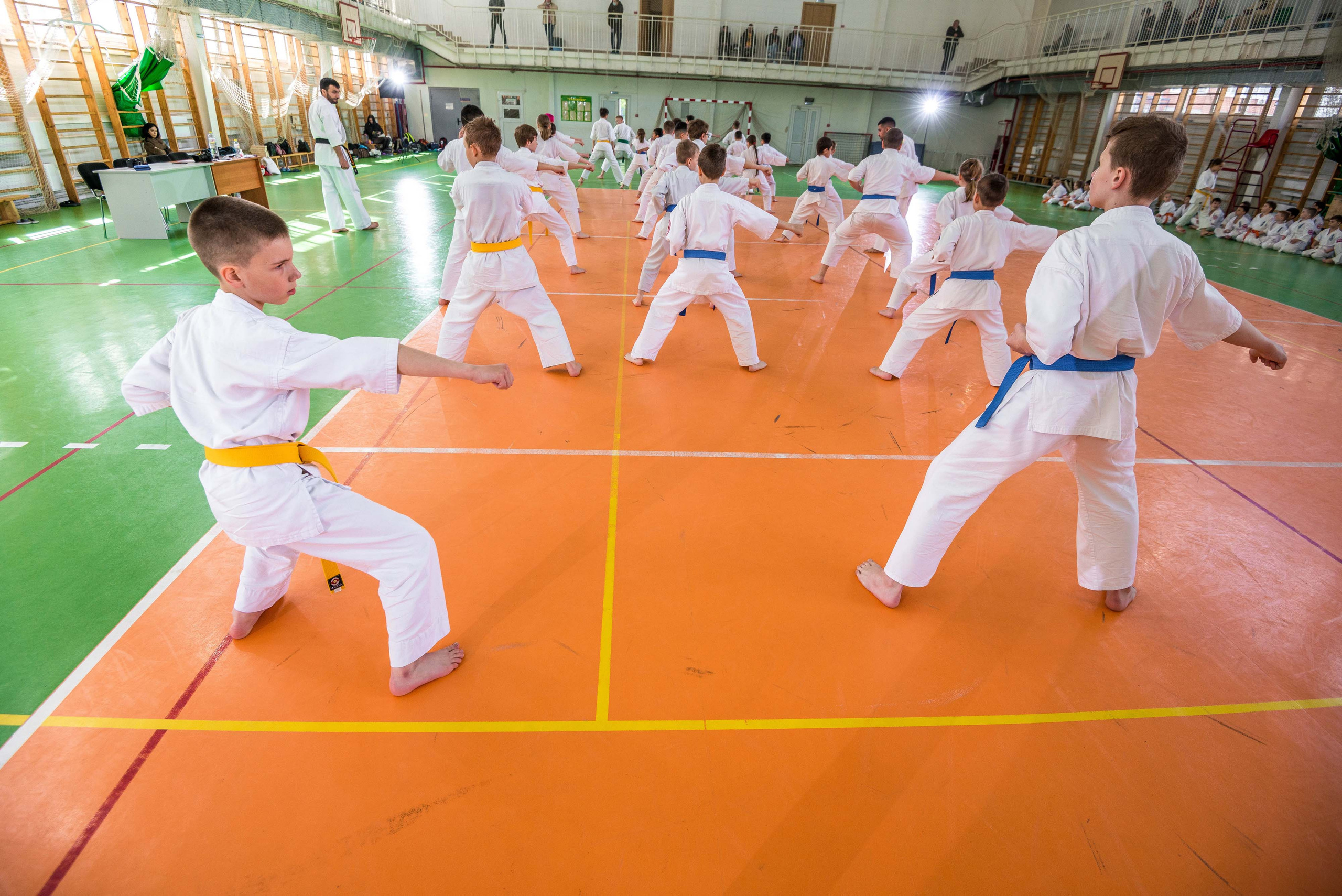 Аттестация киокошинкай клуб «ИППОН», Екатеринбург. Свадебный фотограф на Урале Виктор Соколов