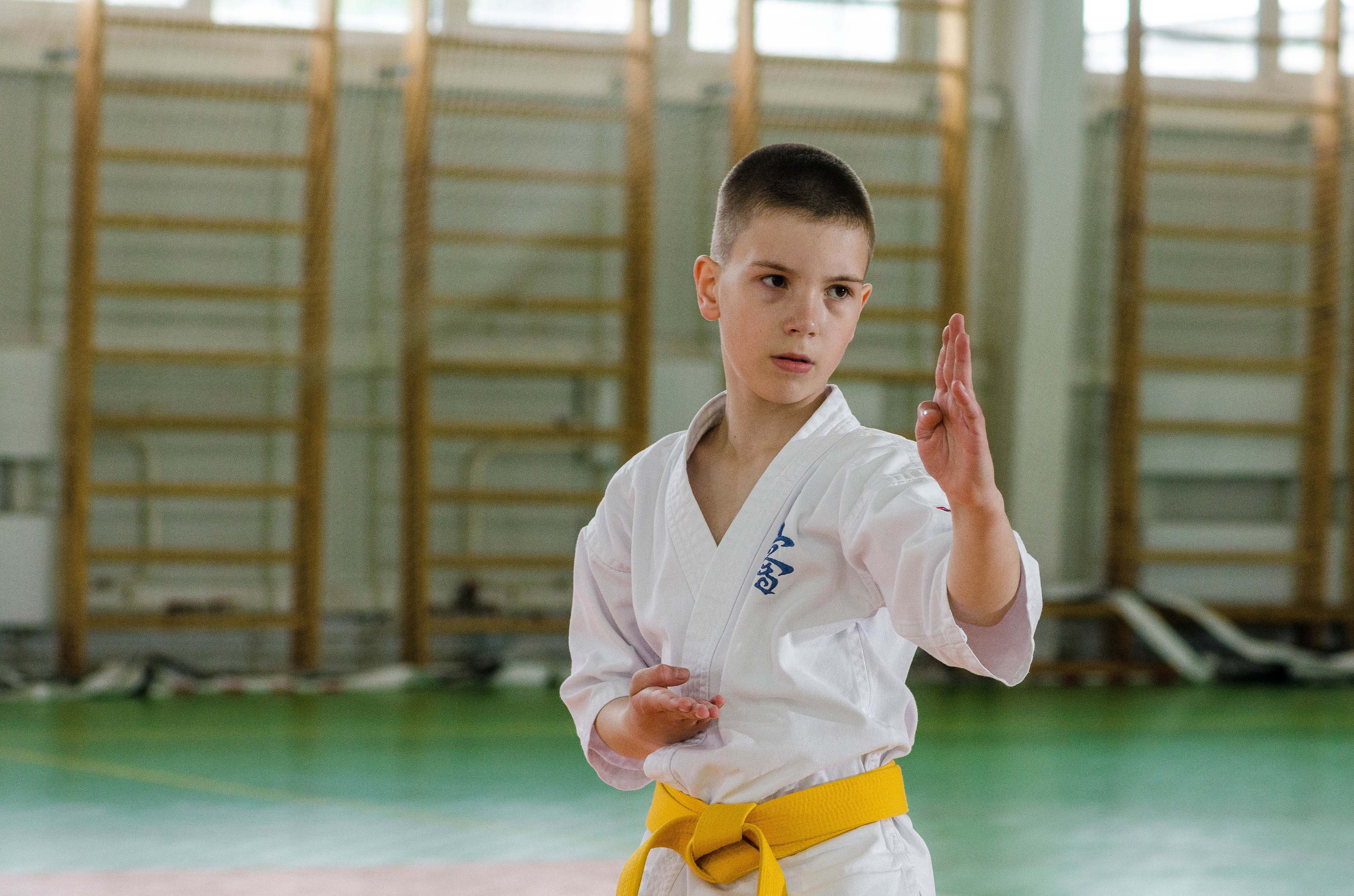 Аттестация киокошинкай клуб «ИППОН», Екатеринбург. Свадебный фотограф на Урале Виктор Соколов