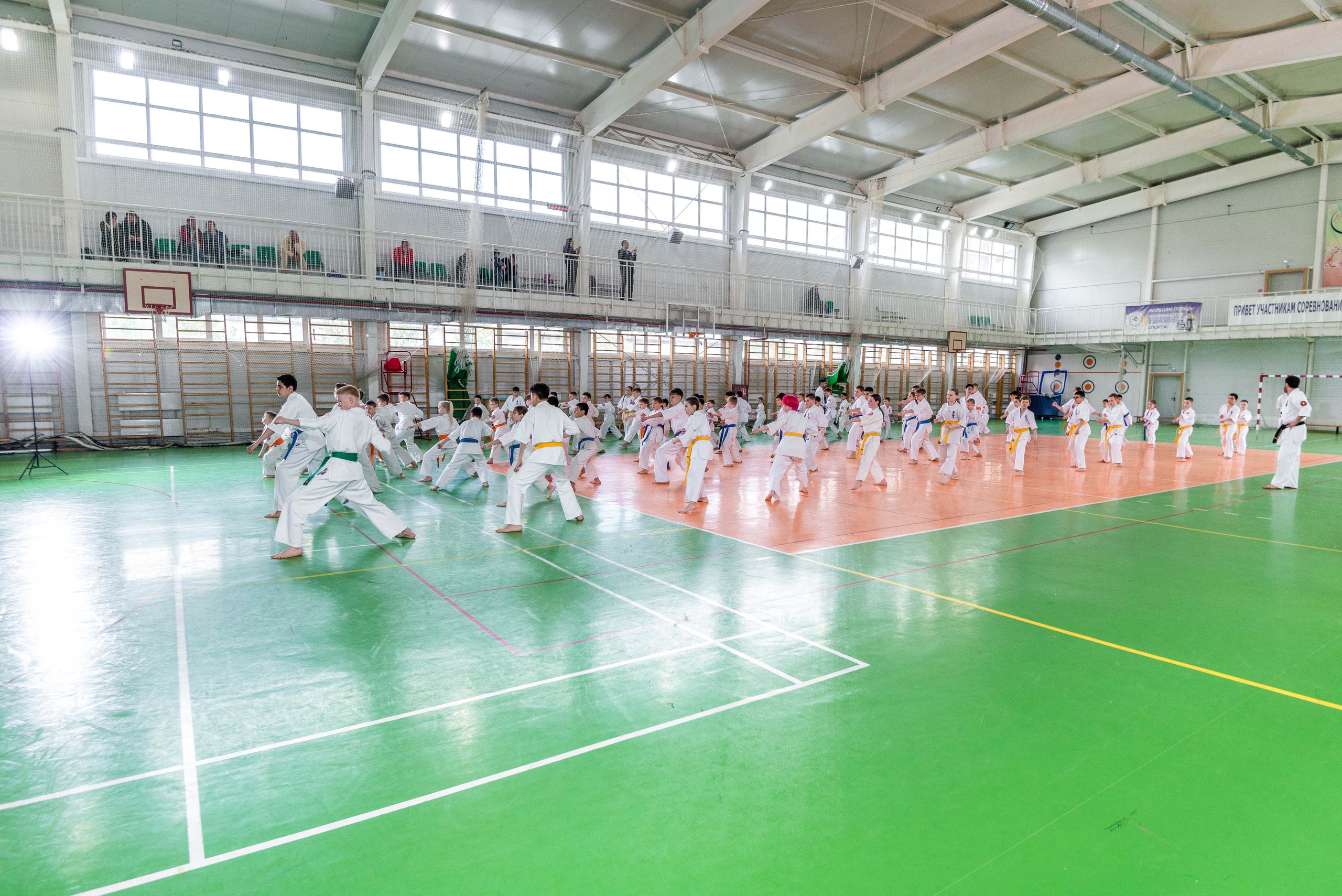 Аттестация киокошинкай клуб «ИППОН», Екатеринбург. Свадебный фотограф на Урале Виктор Соколов