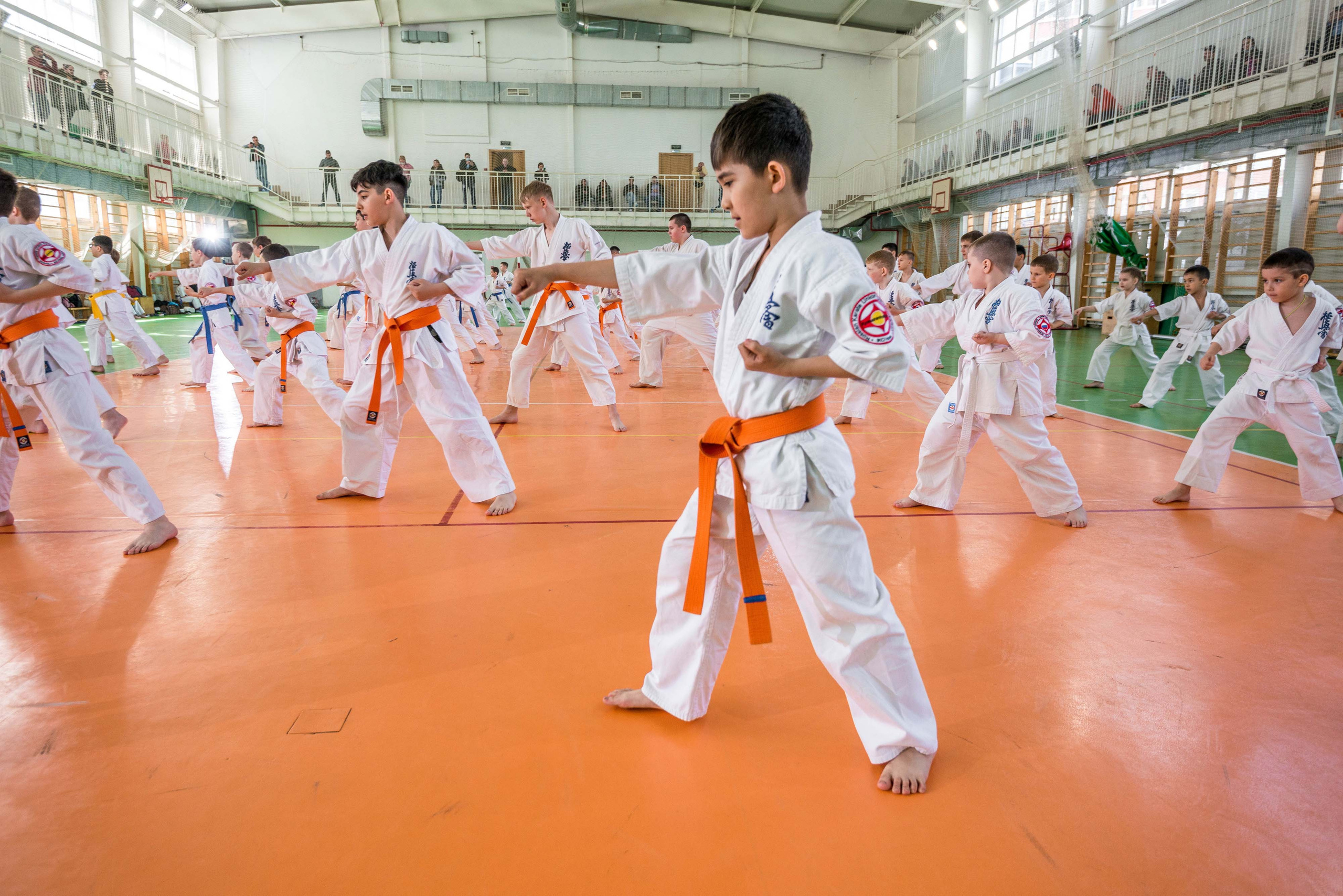 Аттестация киокошинкай клуб «ИППОН», Екатеринбург. Свадебный фотограф на Урале Виктор Соколов