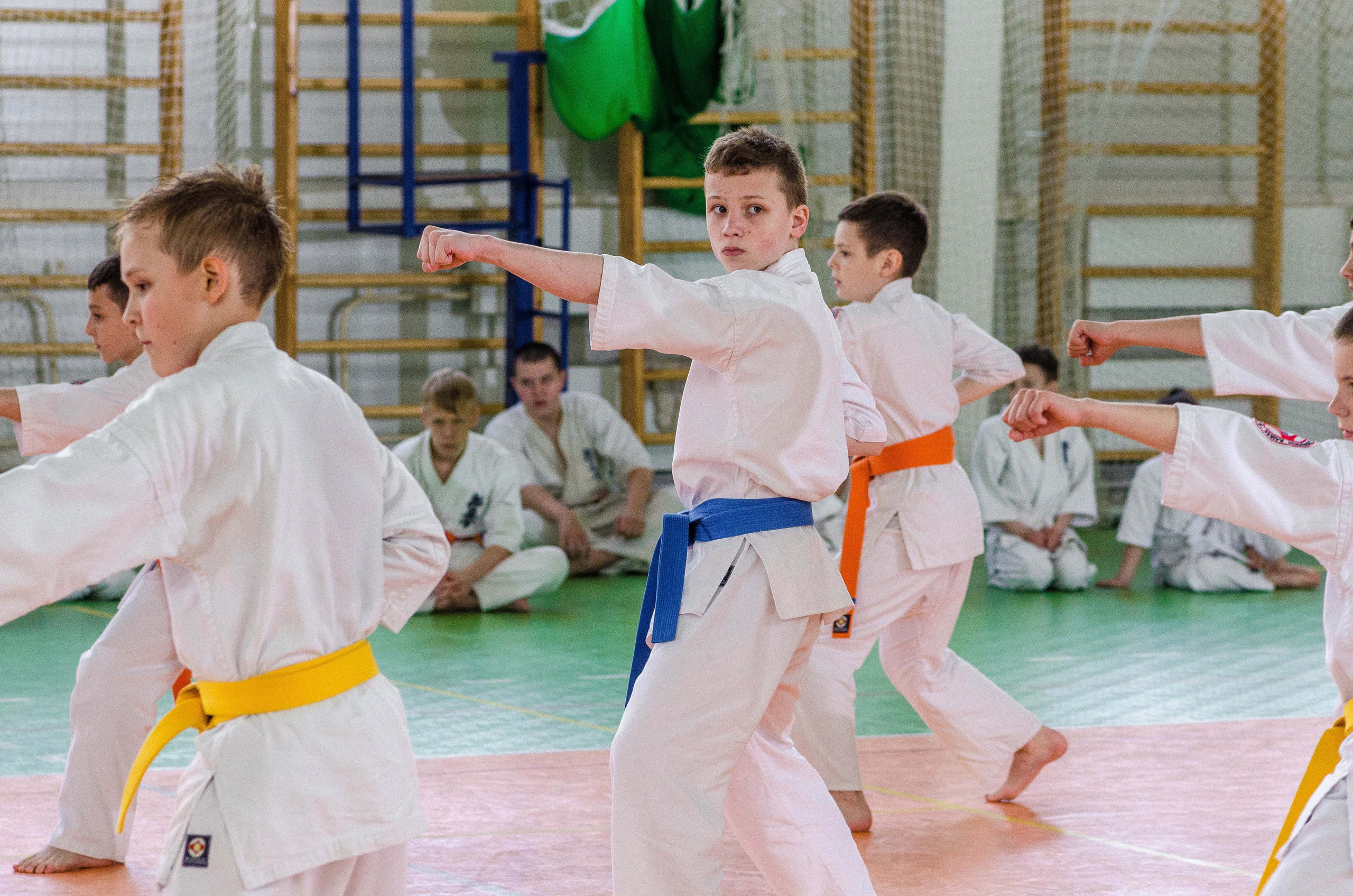 Аттестация киокошинкай клуб «ИППОН», Екатеринбург. Свадебный фотограф на Урале Виктор Соколов