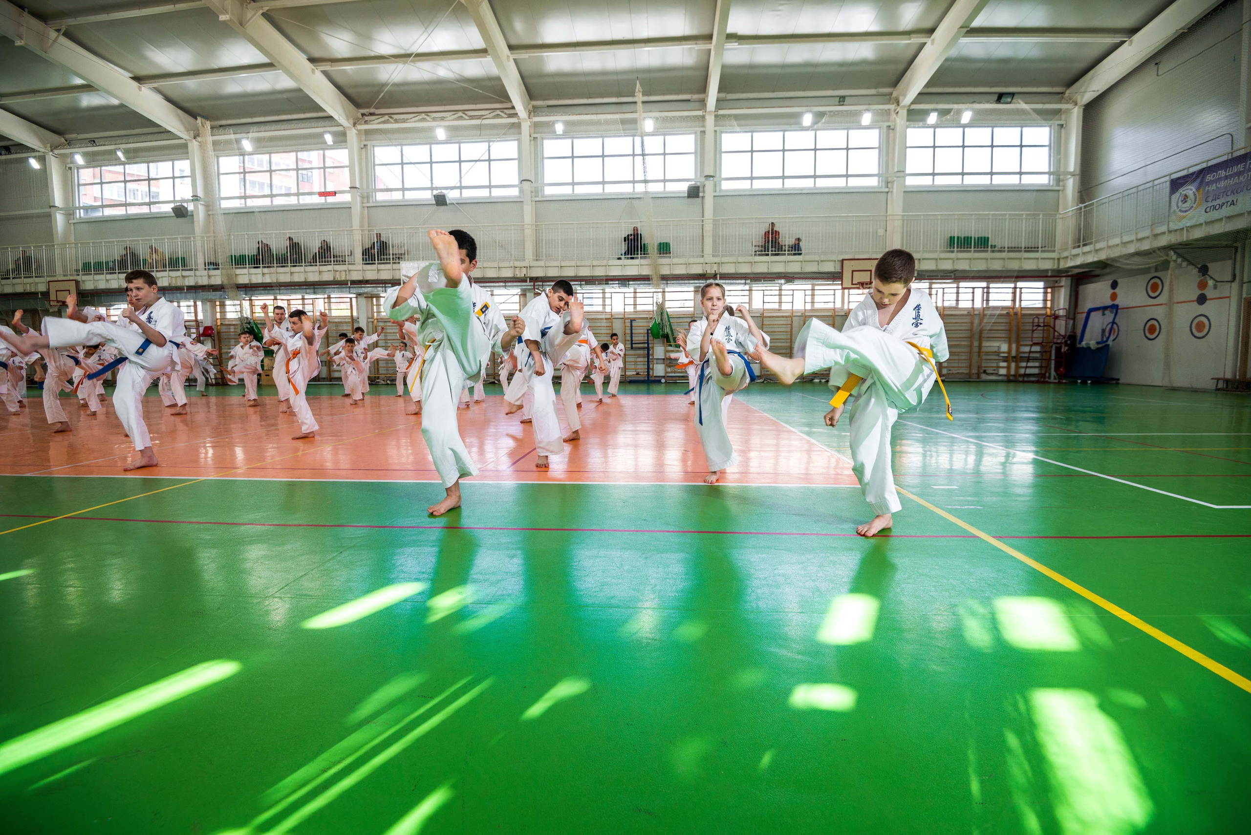 Аттестация киокошинкай клуб «ИППОН», Екатеринбург. Свадебный фотограф на Урале Виктор Соколов