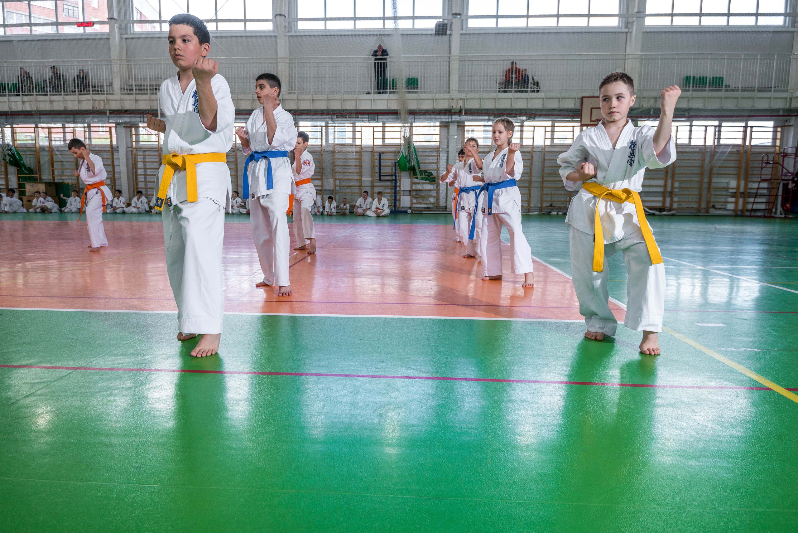 Аттестация киокошинкай клуб «ИППОН», Екатеринбург. Свадебный фотограф на Урале Виктор Соколов