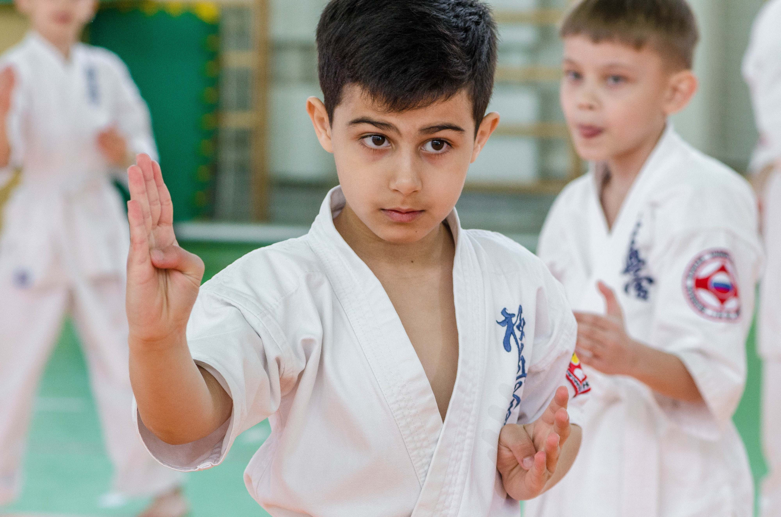 Аттестация киокошинкай клуб «ИППОН», Екатеринбург. Свадебный фотограф на Урале Виктор Соколов