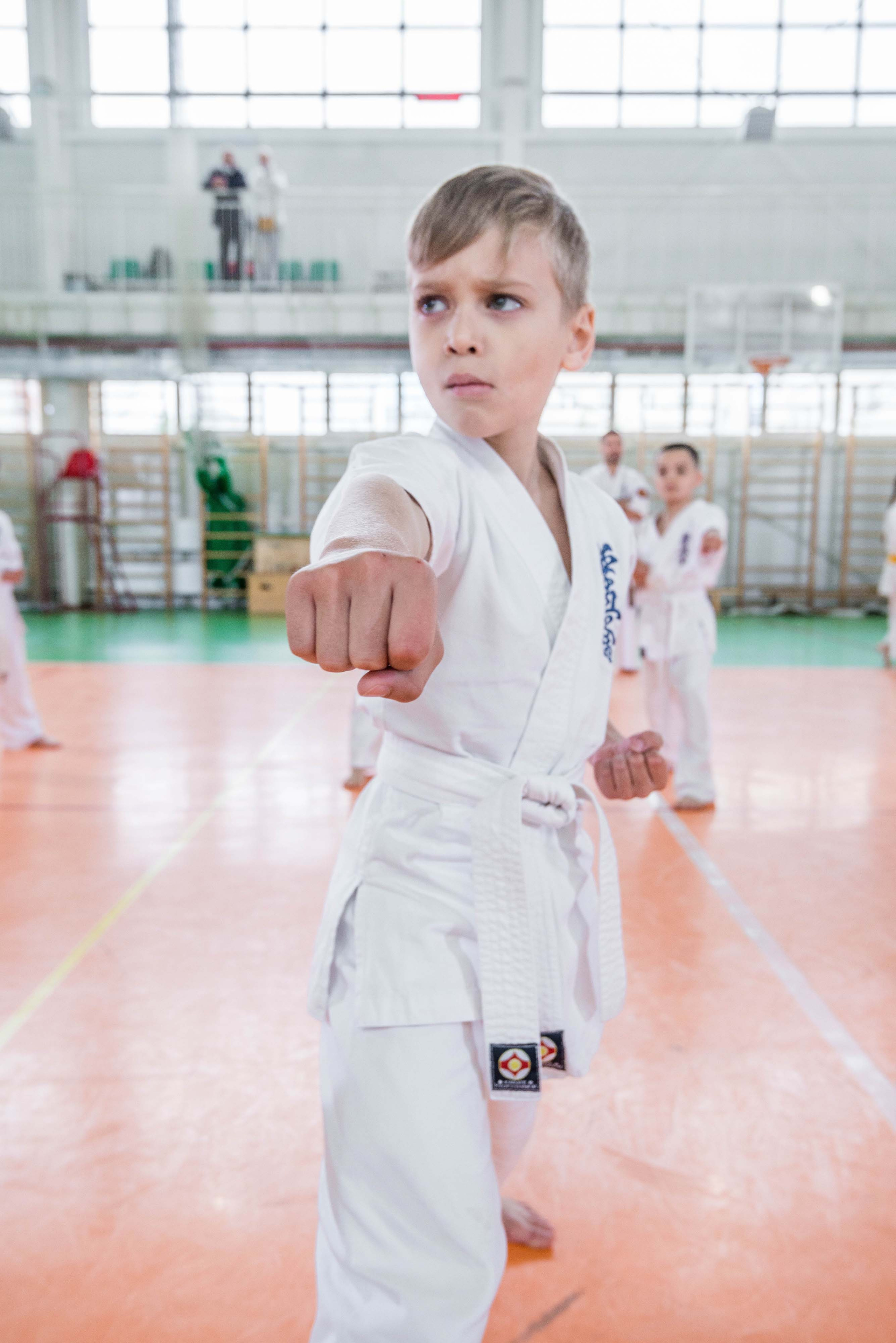 Аттестация киокошинкай клуб «ИППОН», Екатеринбург. Свадебный фотограф на Урале Виктор Соколов