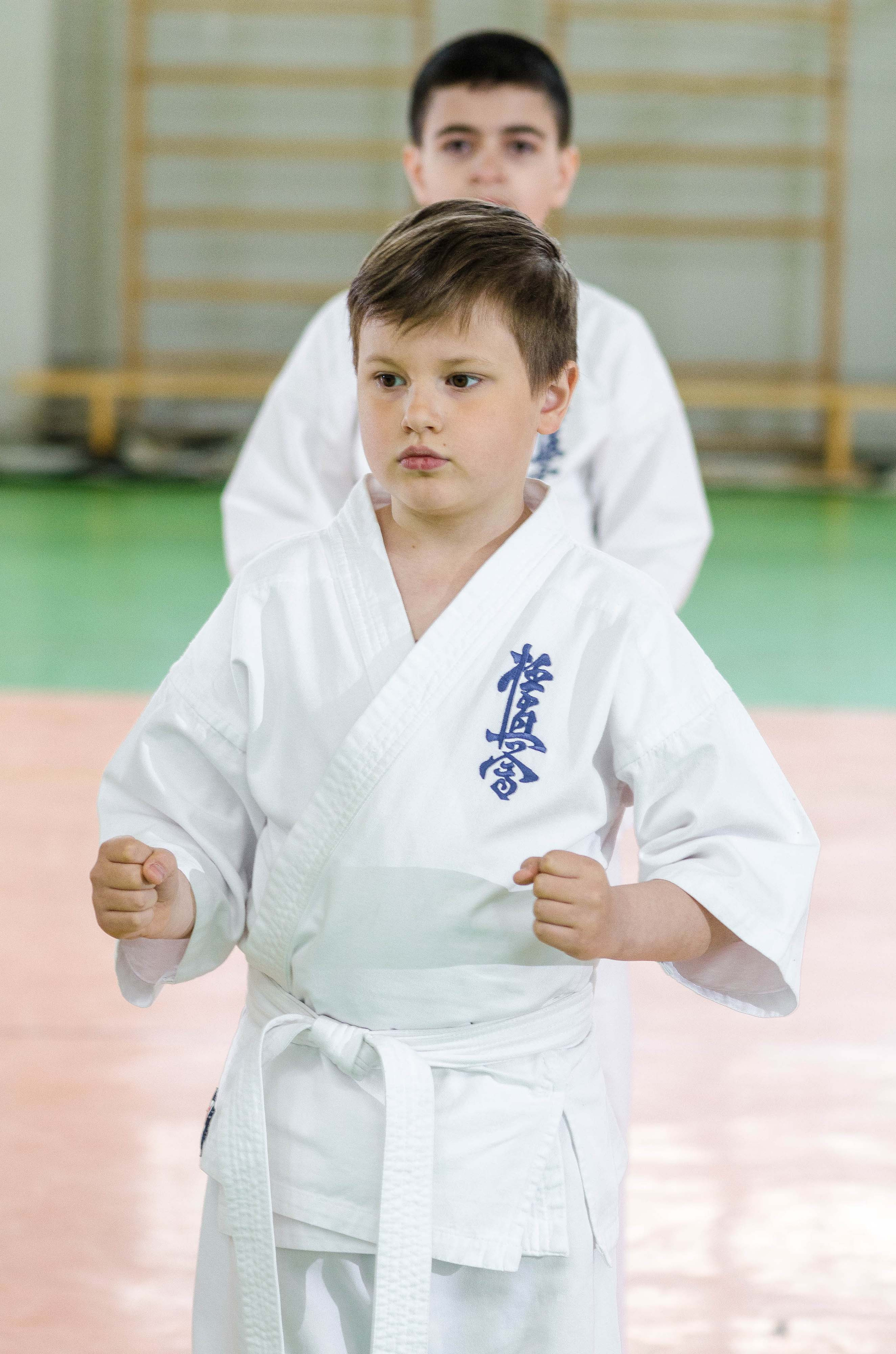 Аттестация киокошинкай клуб «ИППОН», Екатеринбург. Свадебный фотограф на Урале Виктор Соколов