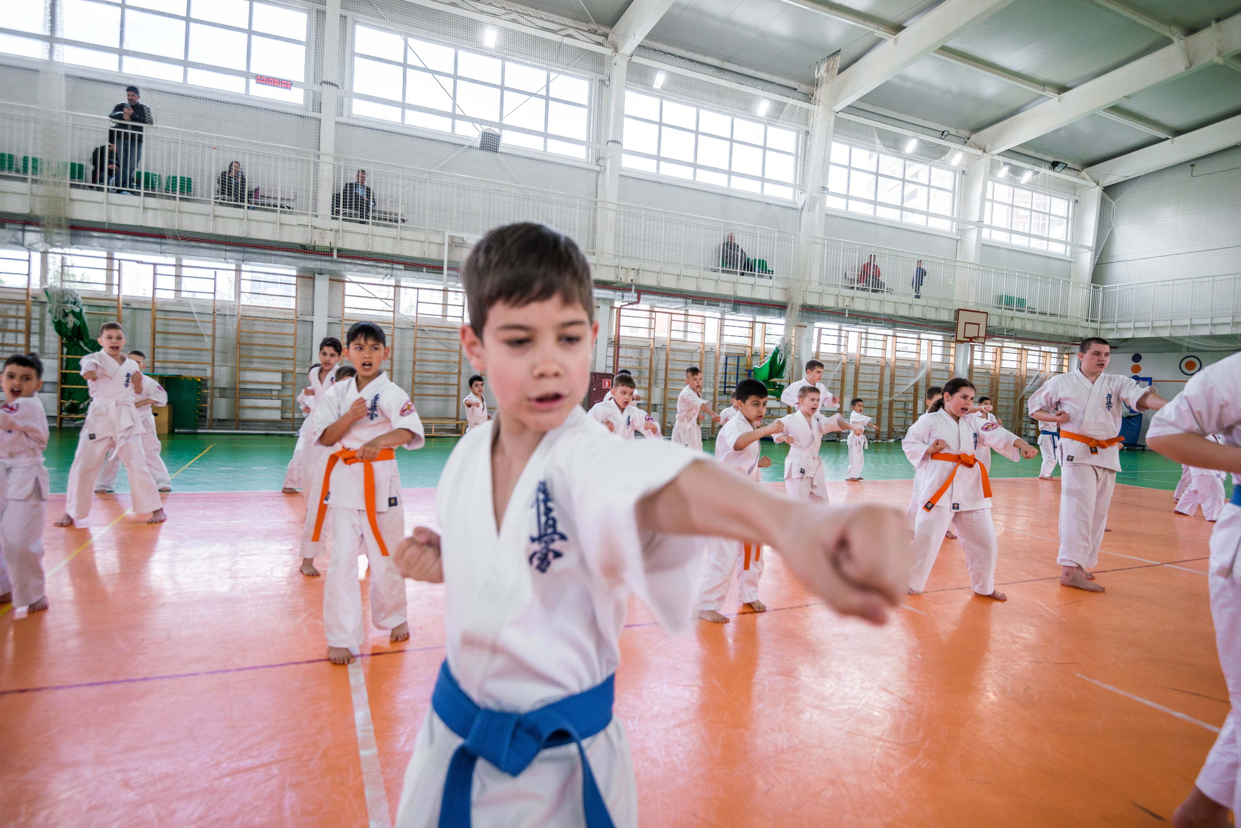 Аттестация киокошинкай клуб «ИППОН», Екатеринбург. Свадебный фотограф на Урале Виктор Соколов