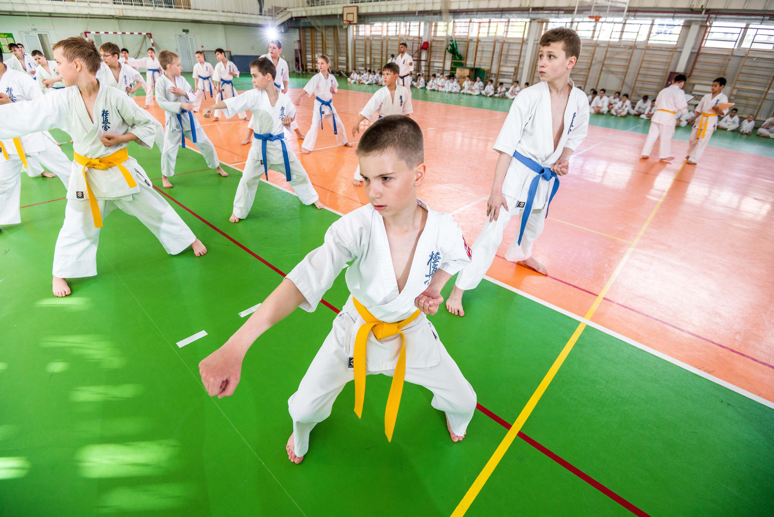 Аттестация киокошинкай клуб «ИППОН», Екатеринбург. Свадебный фотограф на Урале Виктор Соколов