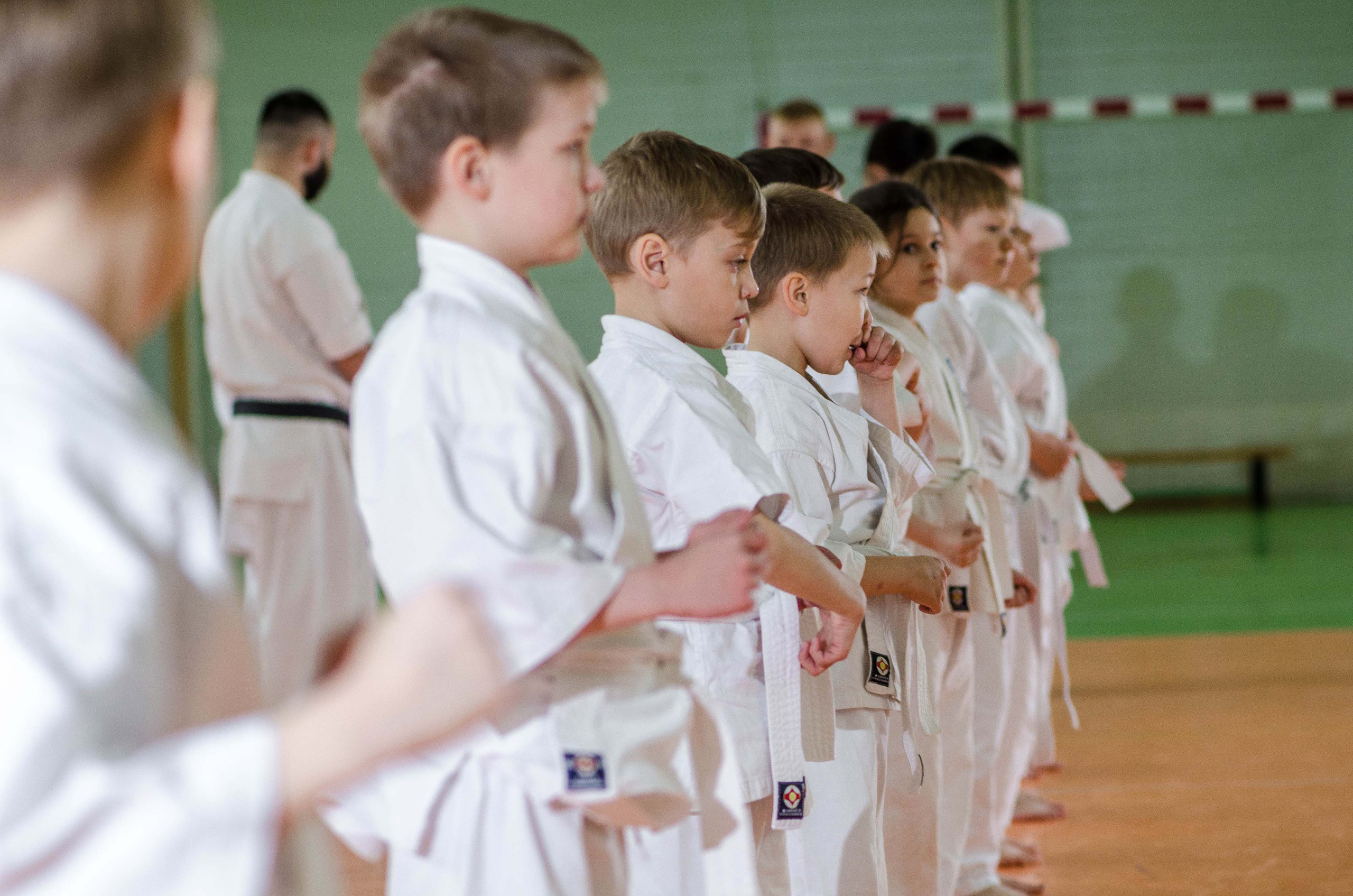Аттестация киокошинкай клуб «ИППОН», Екатеринбург. Свадебный фотограф на Урале Виктор Соколов