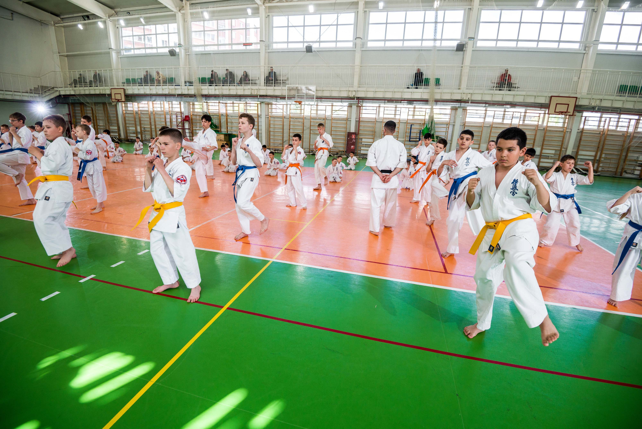 Аттестация киокошинкай клуб «ИППОН», Екатеринбург. Свадебный фотограф на Урале Виктор Соколов