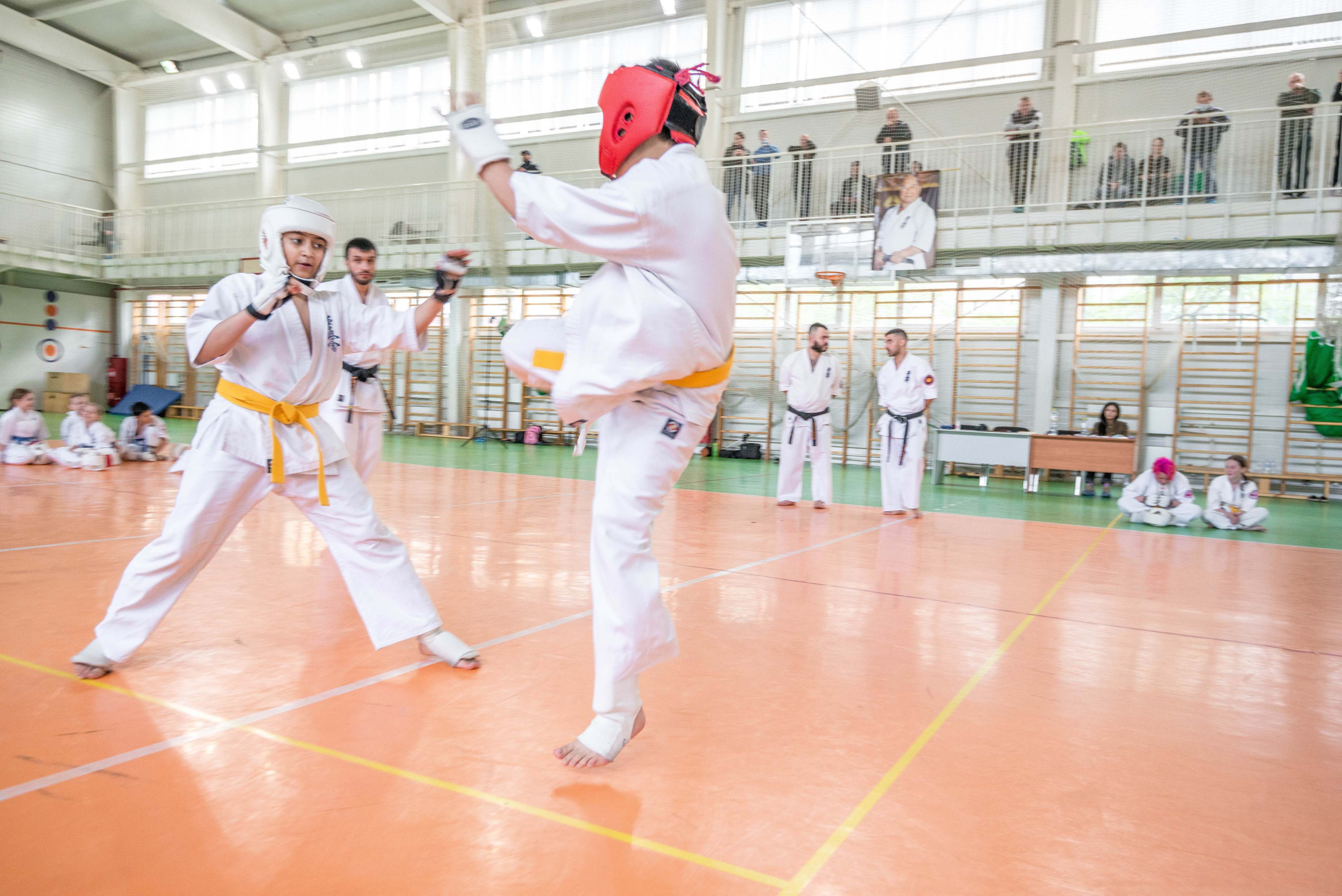 Аттестация киокошинкай клуб «ИППОН», Екатеринбург. Свадебный фотограф на Урале Виктор Соколов