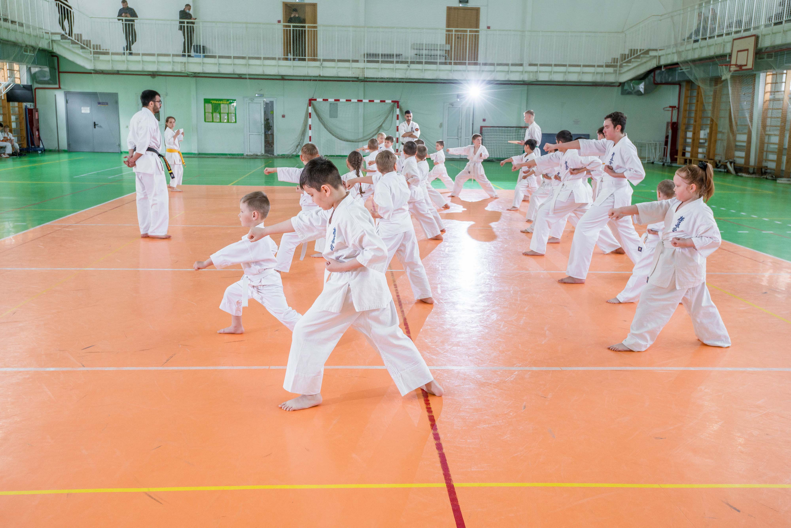 Аттестация киокошинкай клуб «ИППОН», Екатеринбург. Свадебный фотограф на Урале Виктор Соколов