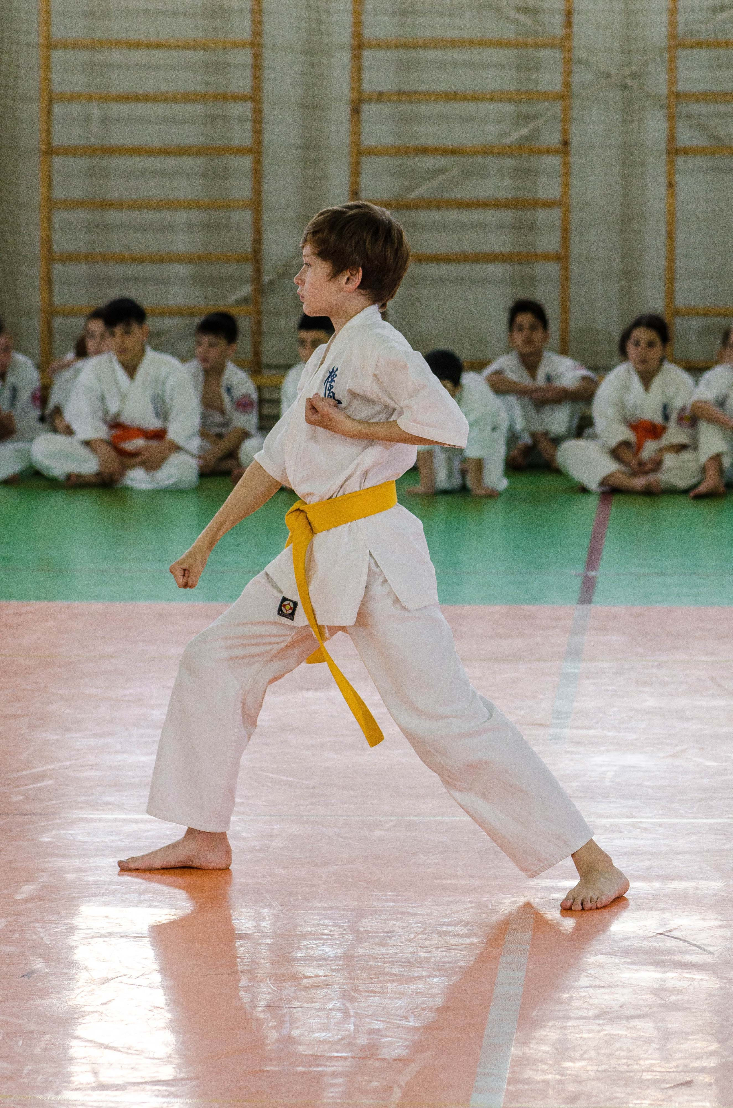 Аттестация киокошинкай клуб «ИППОН», Екатеринбург. Свадебный фотограф на Урале Виктор Соколов