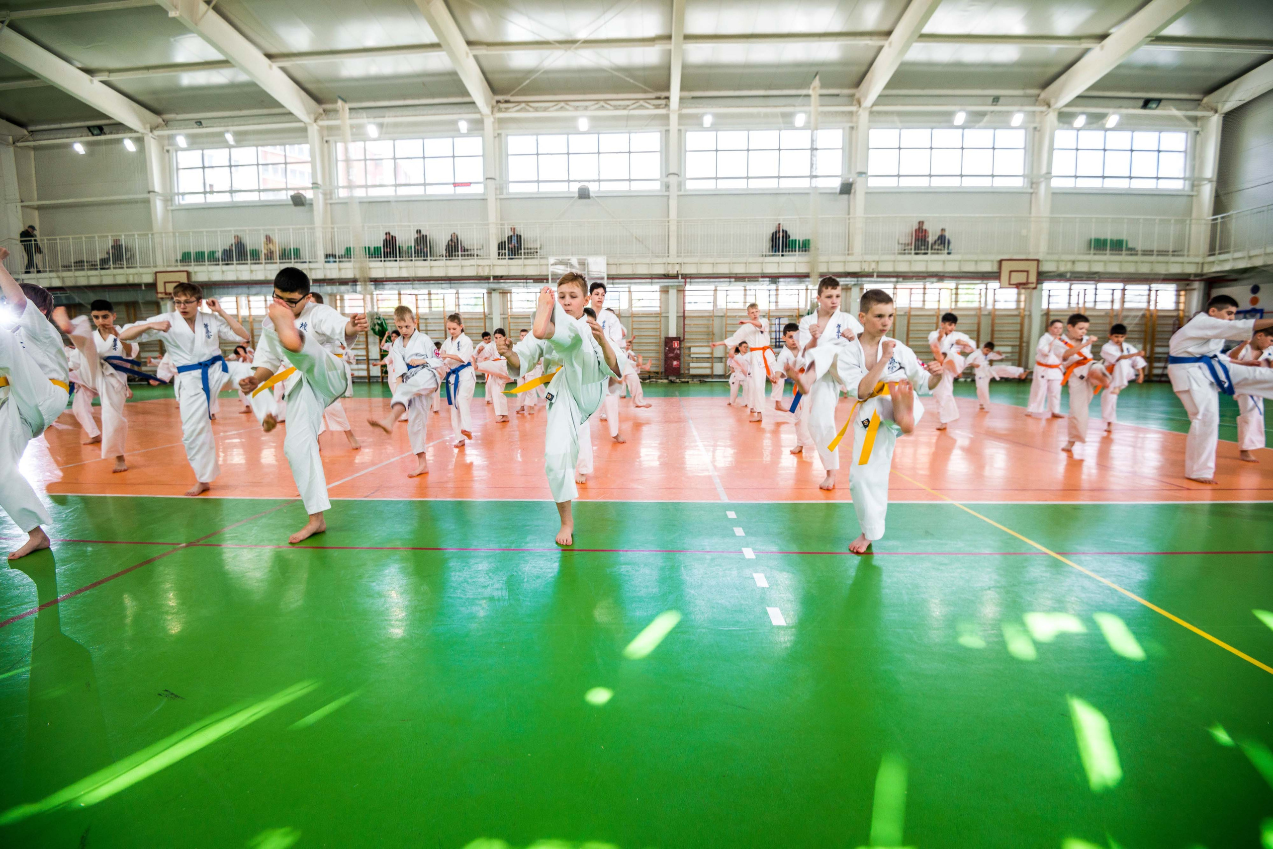 Аттестация киокошинкай клуб «ИППОН», Екатеринбург. Свадебный фотограф на Урале Виктор Соколов