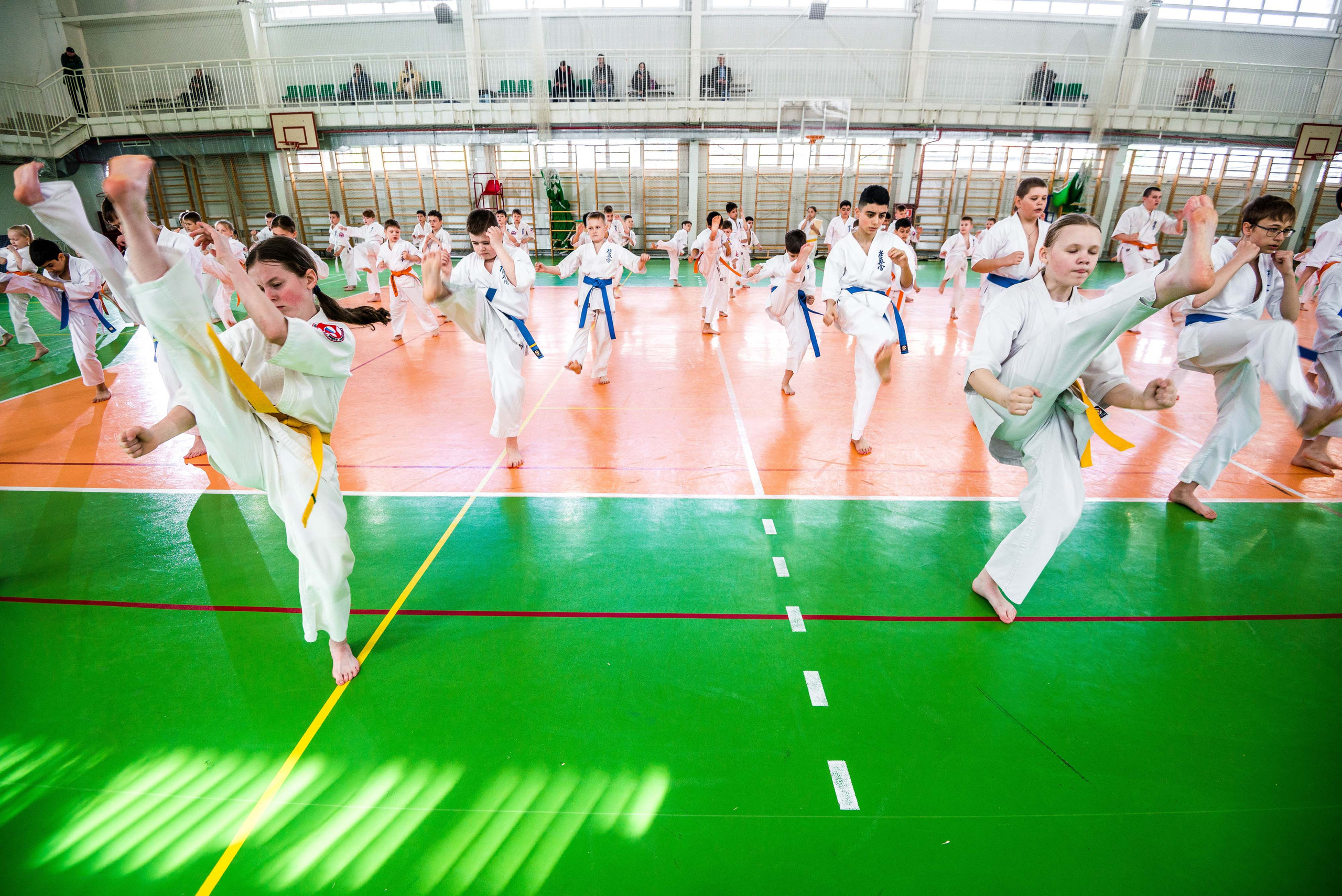 Аттестация киокошинкай клуб «ИППОН», Екатеринбург. Свадебный фотограф на Урале Виктор Соколов