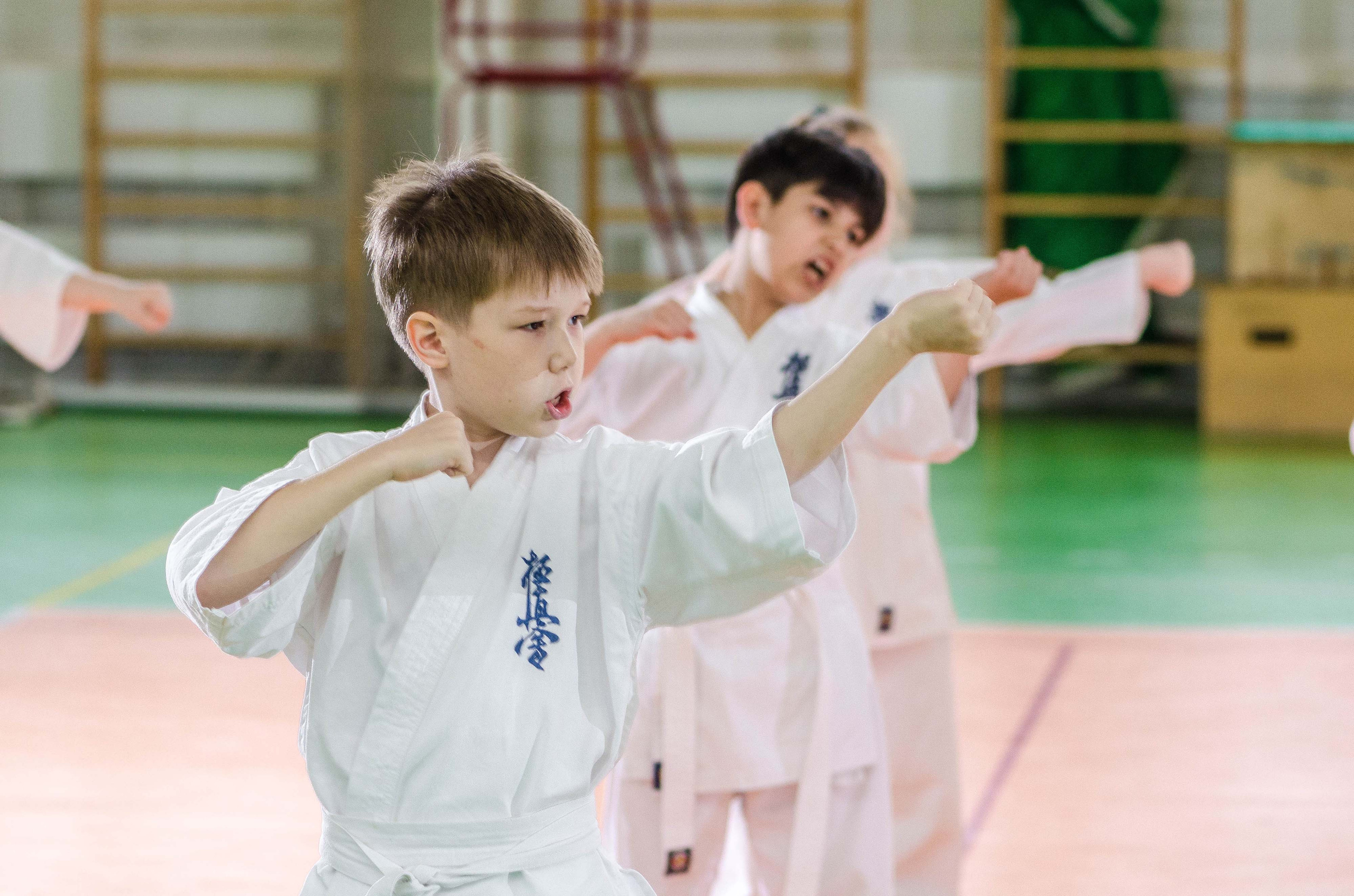 Аттестация киокошинкай клуб «ИППОН», Екатеринбург. Свадебный фотограф на Урале Виктор Соколов