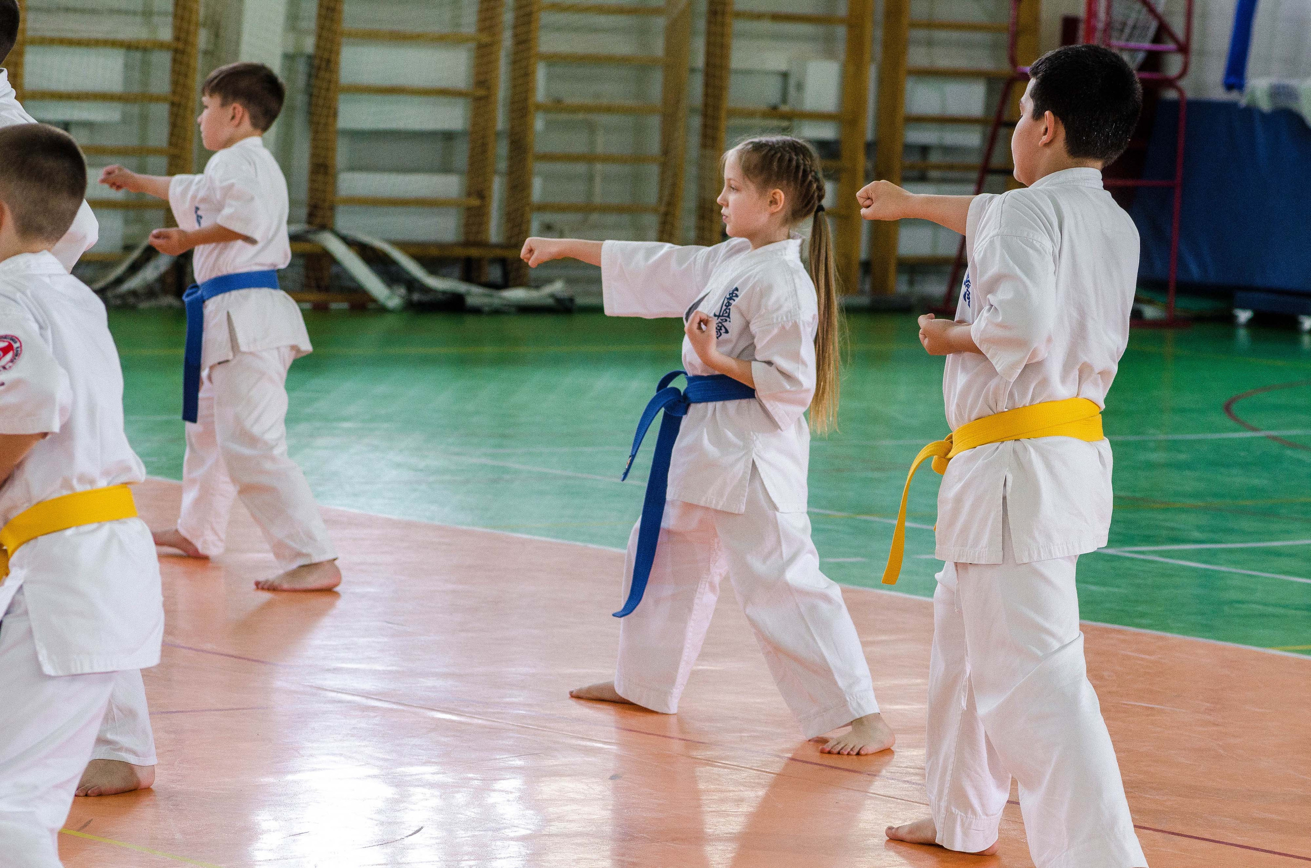 Аттестация киокошинкай клуб «ИППОН», Екатеринбург. Свадебный фотограф на Урале Виктор Соколов