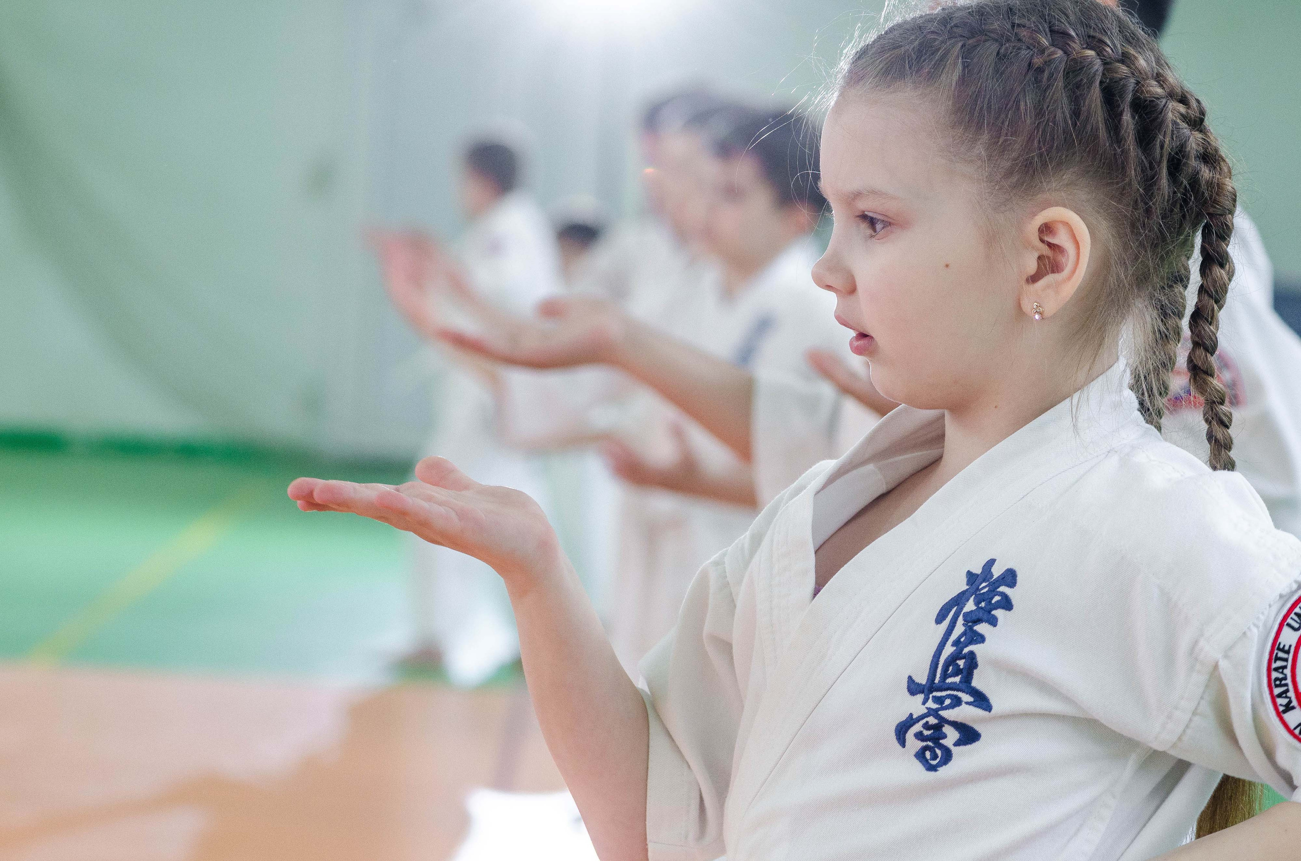 Аттестация киокошинкай клуб «ИППОН», Екатеринбург. Свадебный фотограф на Урале Виктор Соколов