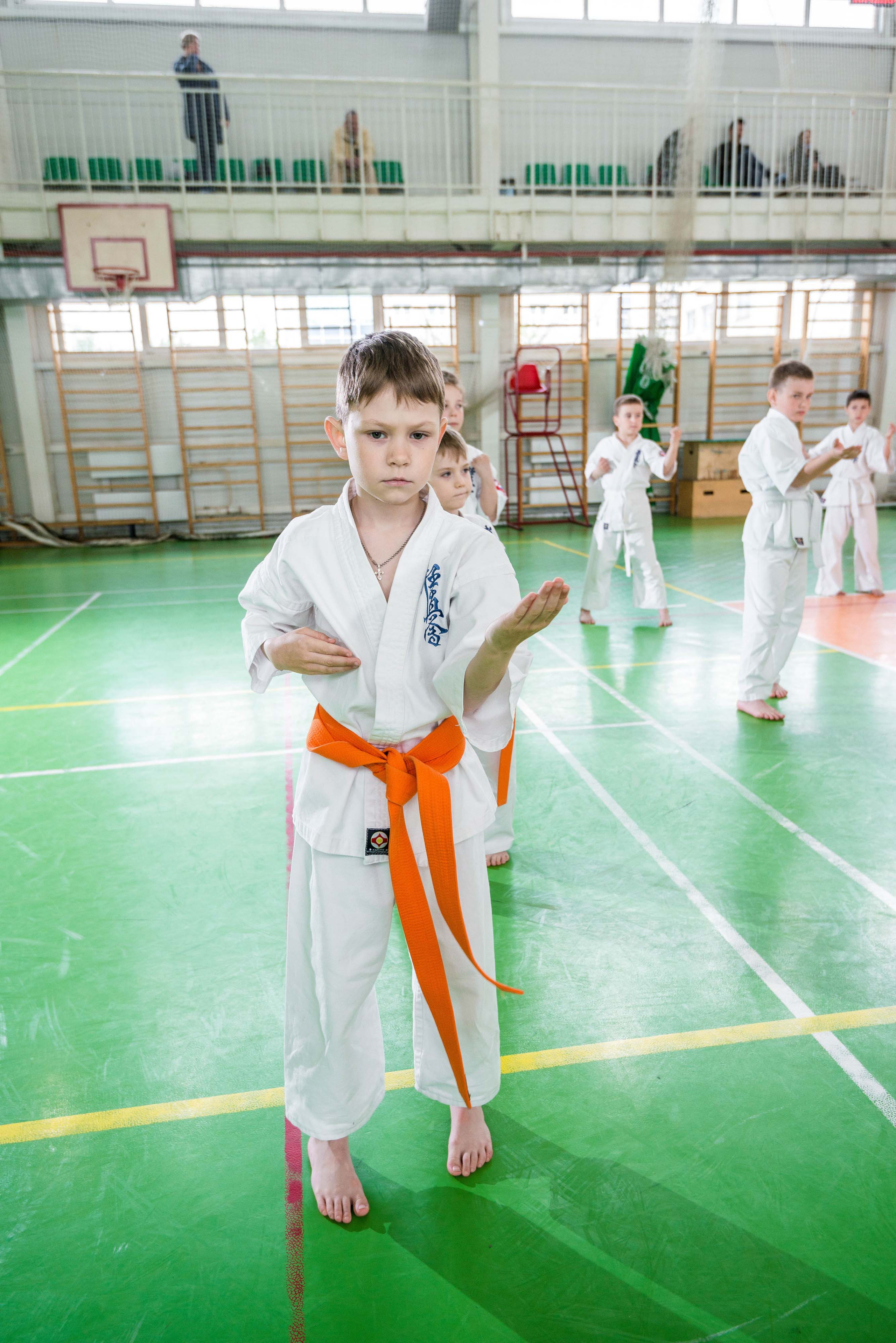 Аттестация киокошинкай клуб «ИППОН», Екатеринбург. Свадебный фотограф на Урале Виктор Соколов