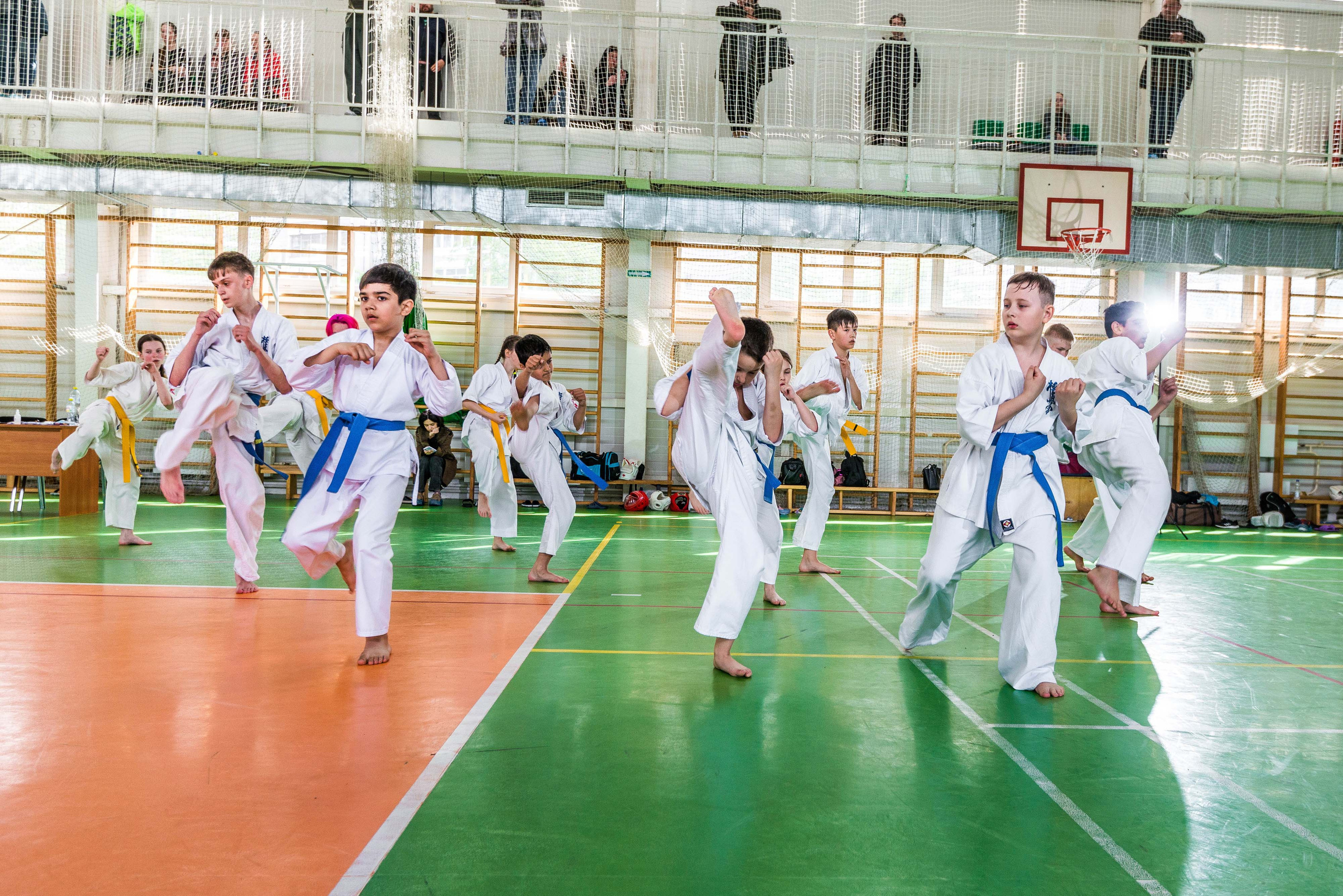 Аттестация киокошинкай клуб «ИППОН», Екатеринбург. Свадебный фотограф на Урале Виктор Соколов