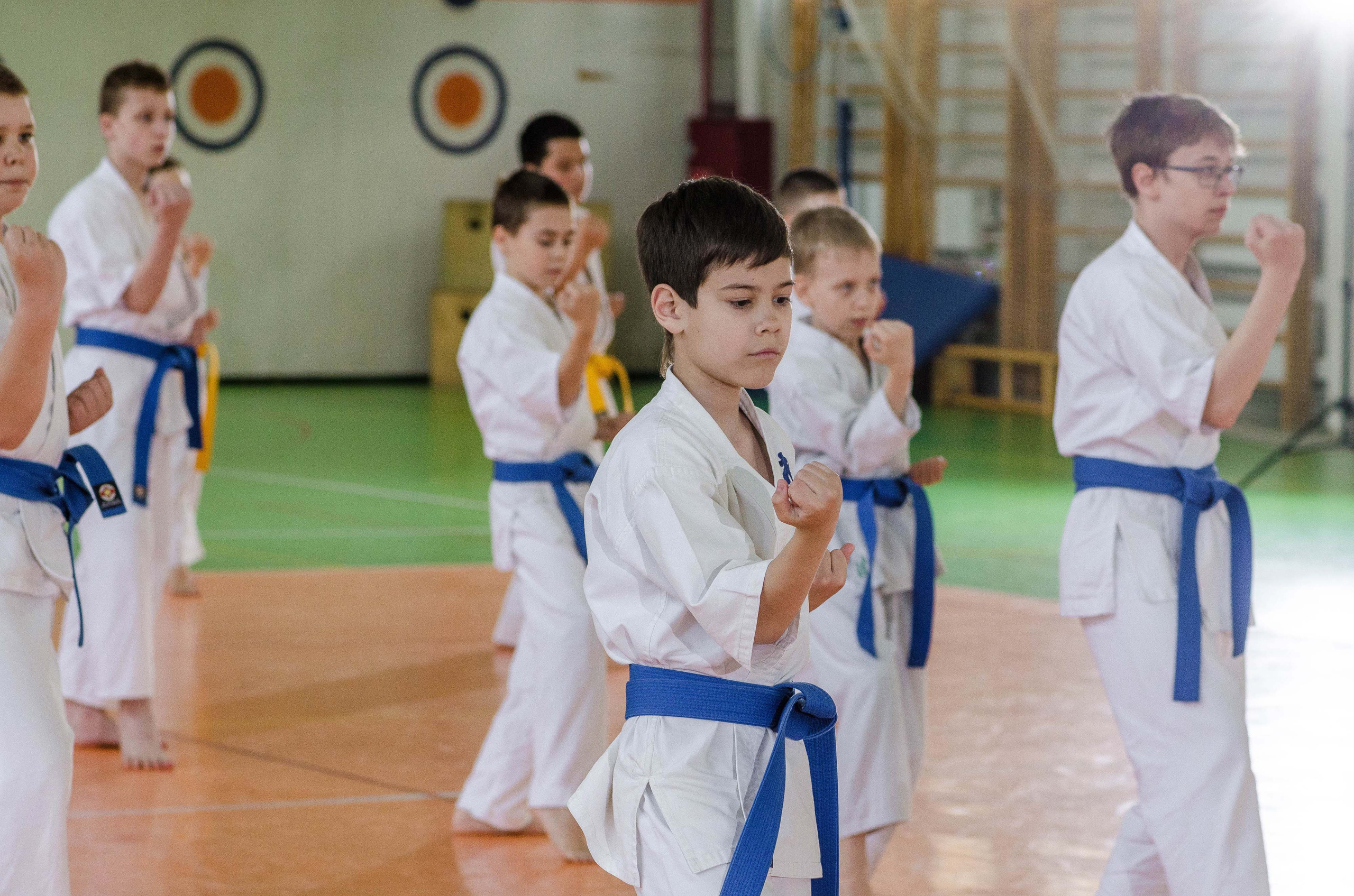 Аттестация киокошинкай клуб «ИППОН», Екатеринбург. Свадебный фотограф на Урале Виктор Соколов