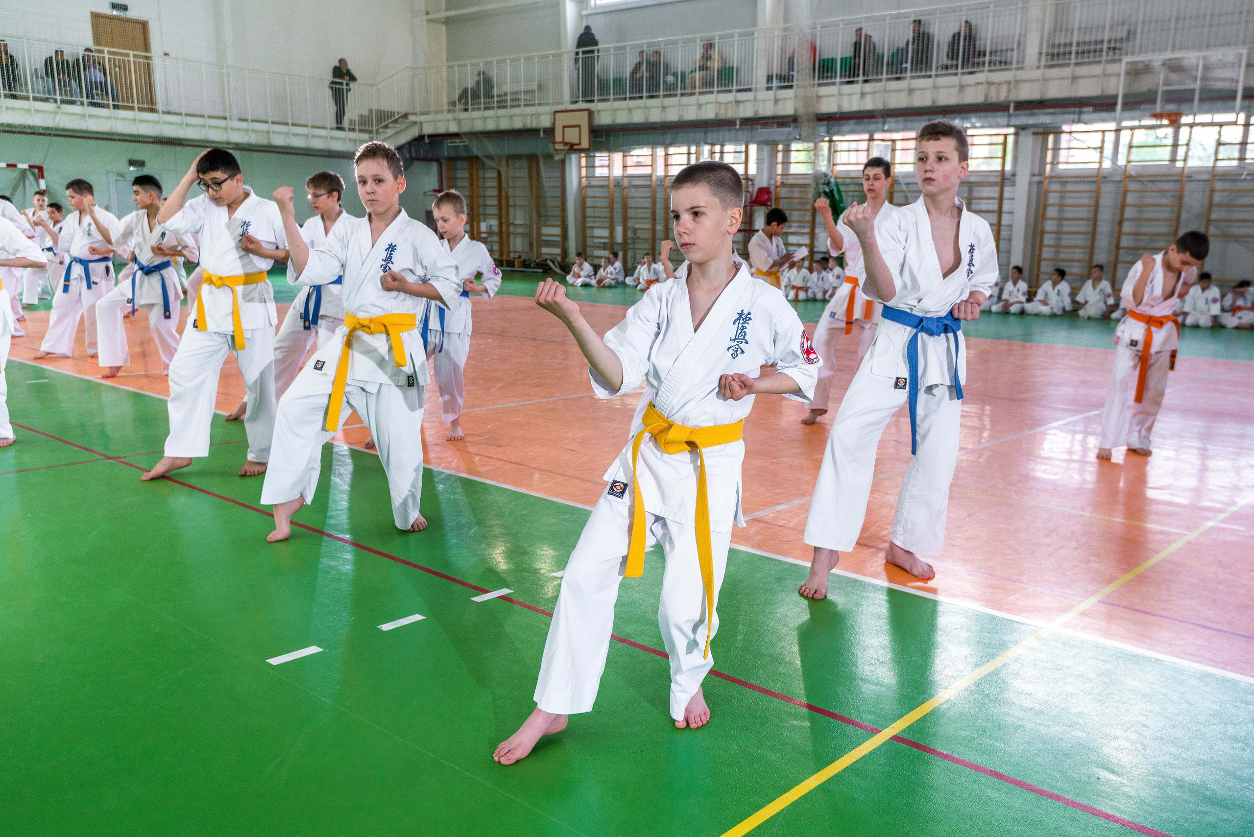 Аттестация киокошинкай клуб «ИППОН», Екатеринбург. Свадебный фотограф на Урале Виктор Соколов