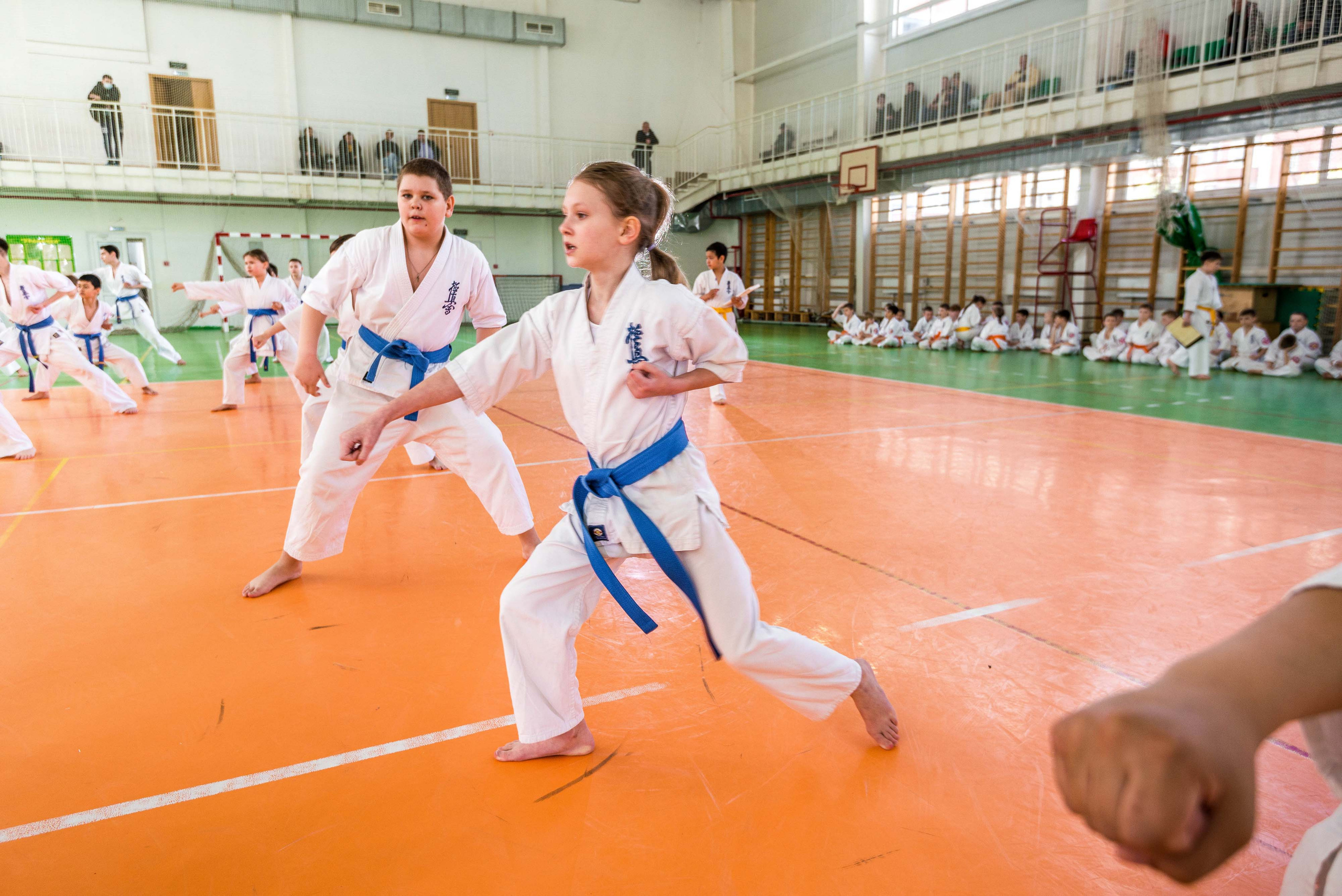 Аттестация киокошинкай клуб «ИППОН», Екатеринбург. Свадебный фотограф на Урале Виктор Соколов