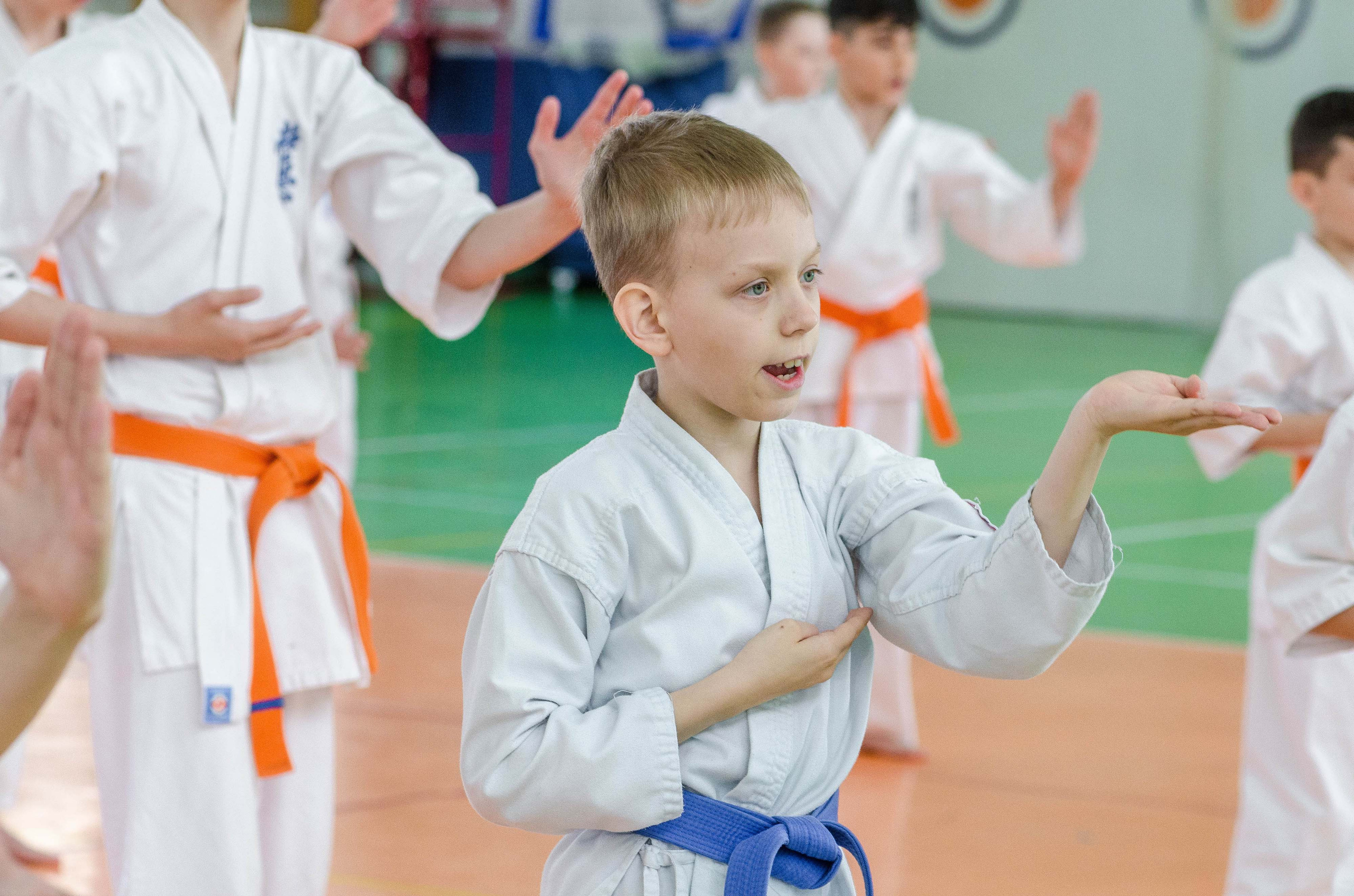 Аттестация киокошинкай клуб «ИППОН», Екатеринбург. Свадебный фотограф на Урале Виктор Соколов