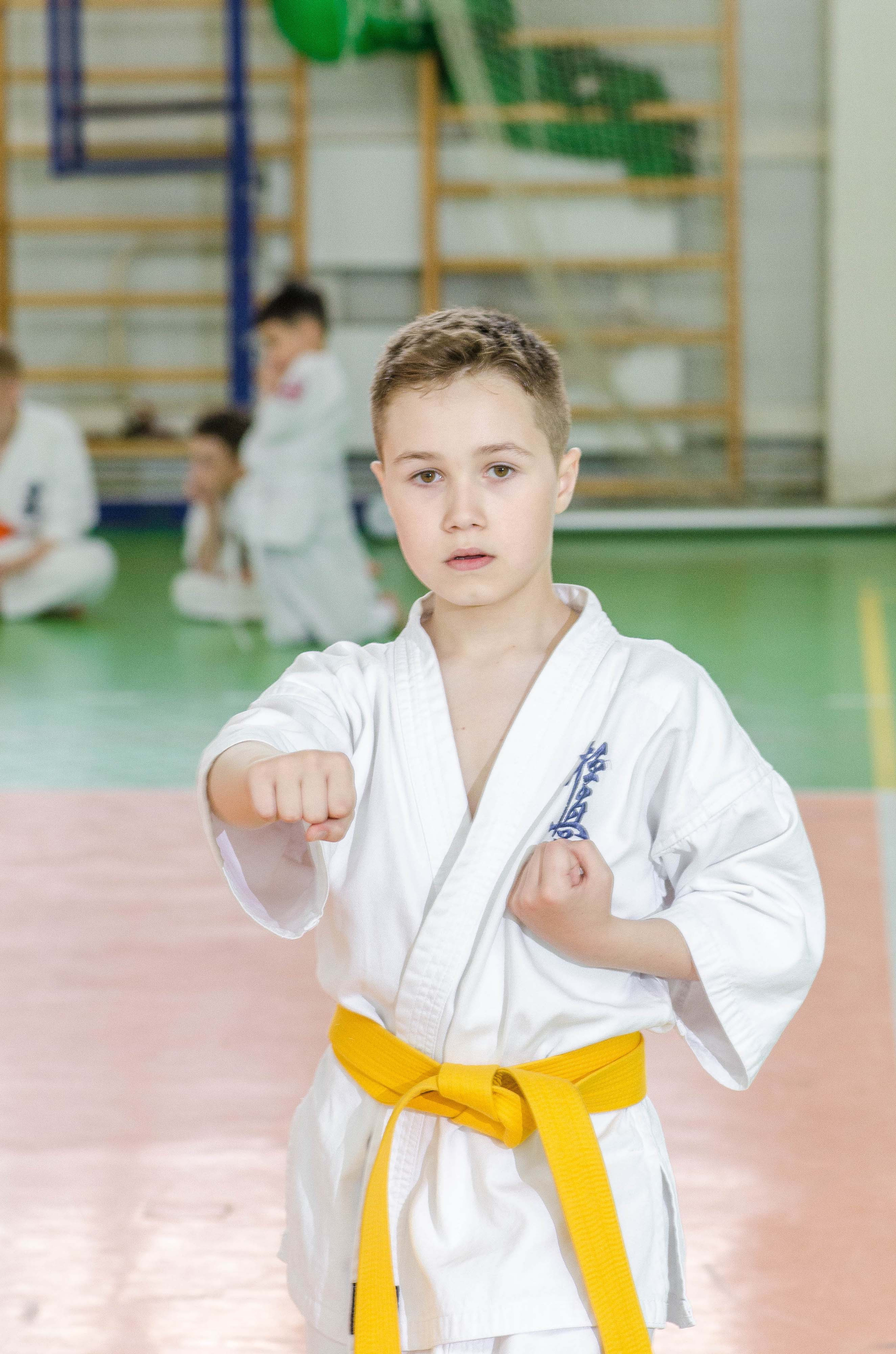 Аттестация киокошинкай клуб «ИППОН», Екатеринбург. Свадебный фотограф на Урале Виктор Соколов