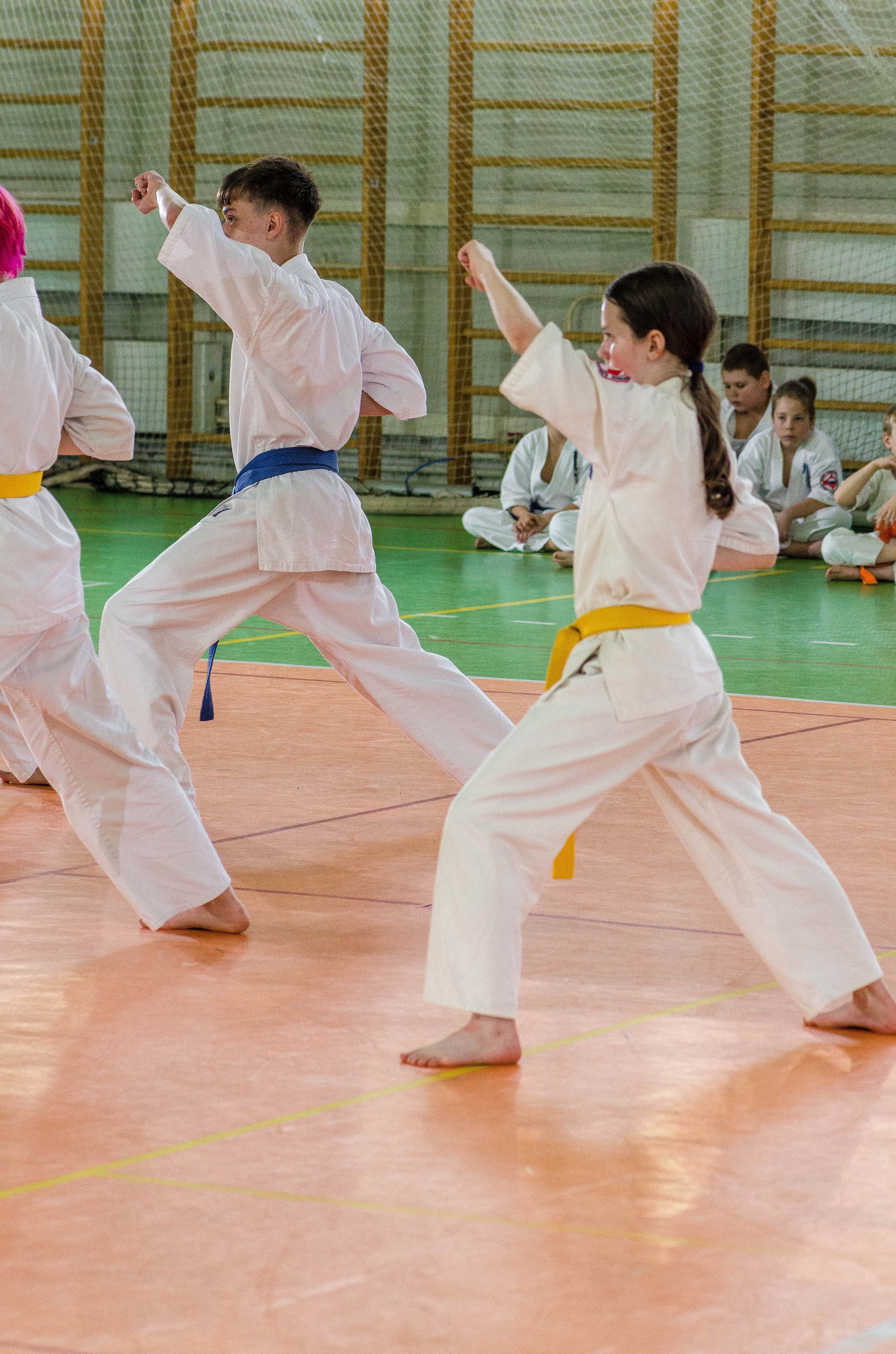 Аттестация киокошинкай клуб «ИППОН», Екатеринбург. Свадебный фотограф на Урале Виктор Соколов