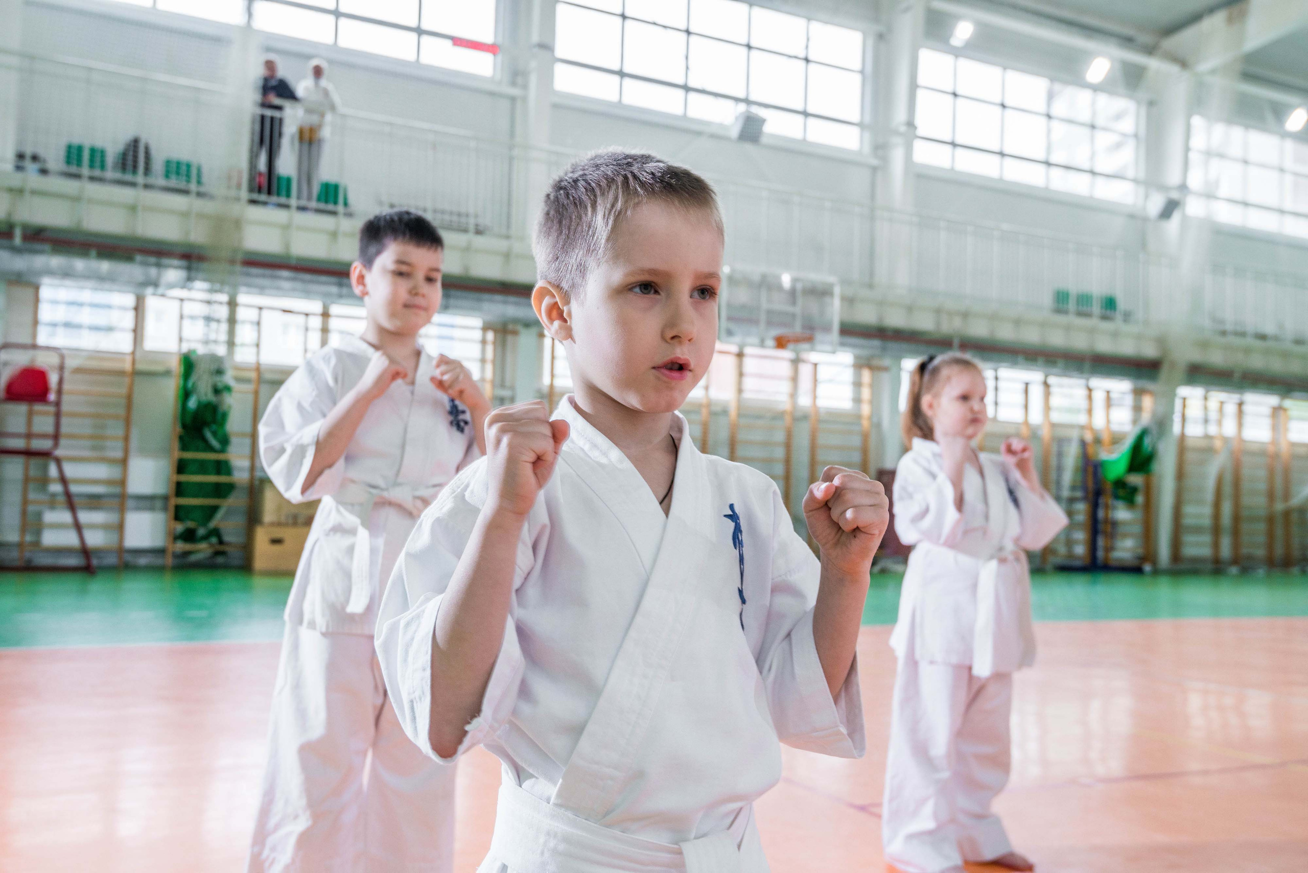 Аттестация киокошинкай клуб «ИППОН», Екатеринбург. Свадебный фотограф на Урале Виктор Соколов