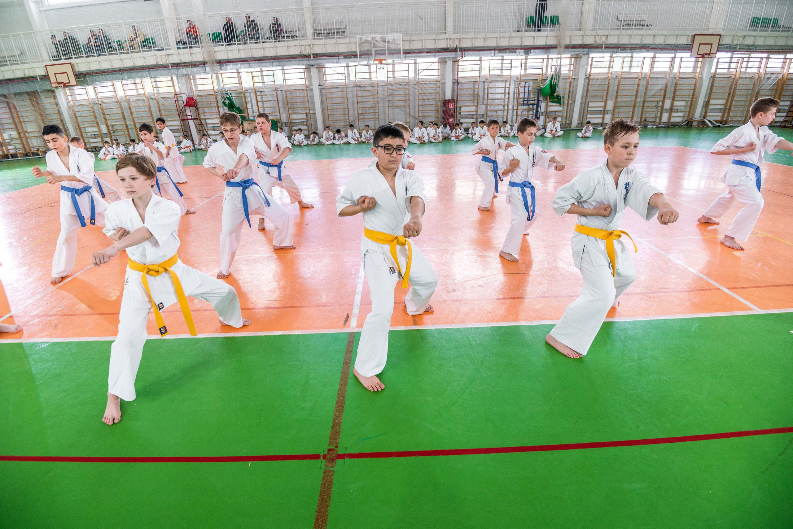 Аттестация киокошинкай клуб «ИППОН», Екатеринбург. Свадебный фотограф на Урале Виктор Соколов