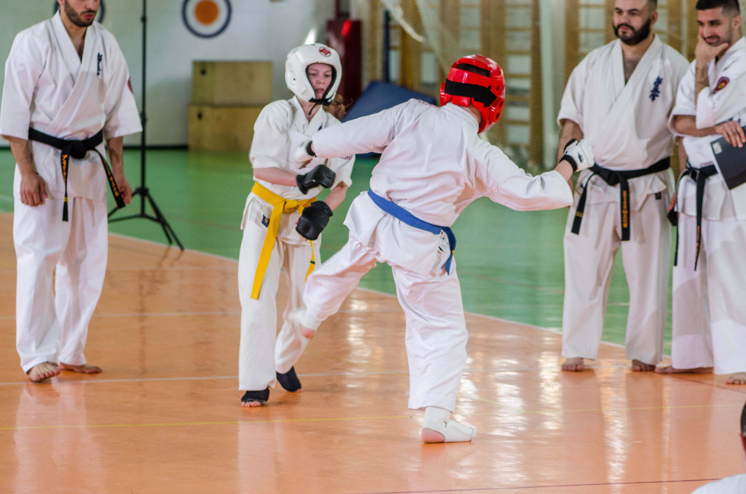 Аттестация киокошинкай клуб «ИППОН», Екатеринбург. Свадебный фотограф на Урале Виктор Соколов