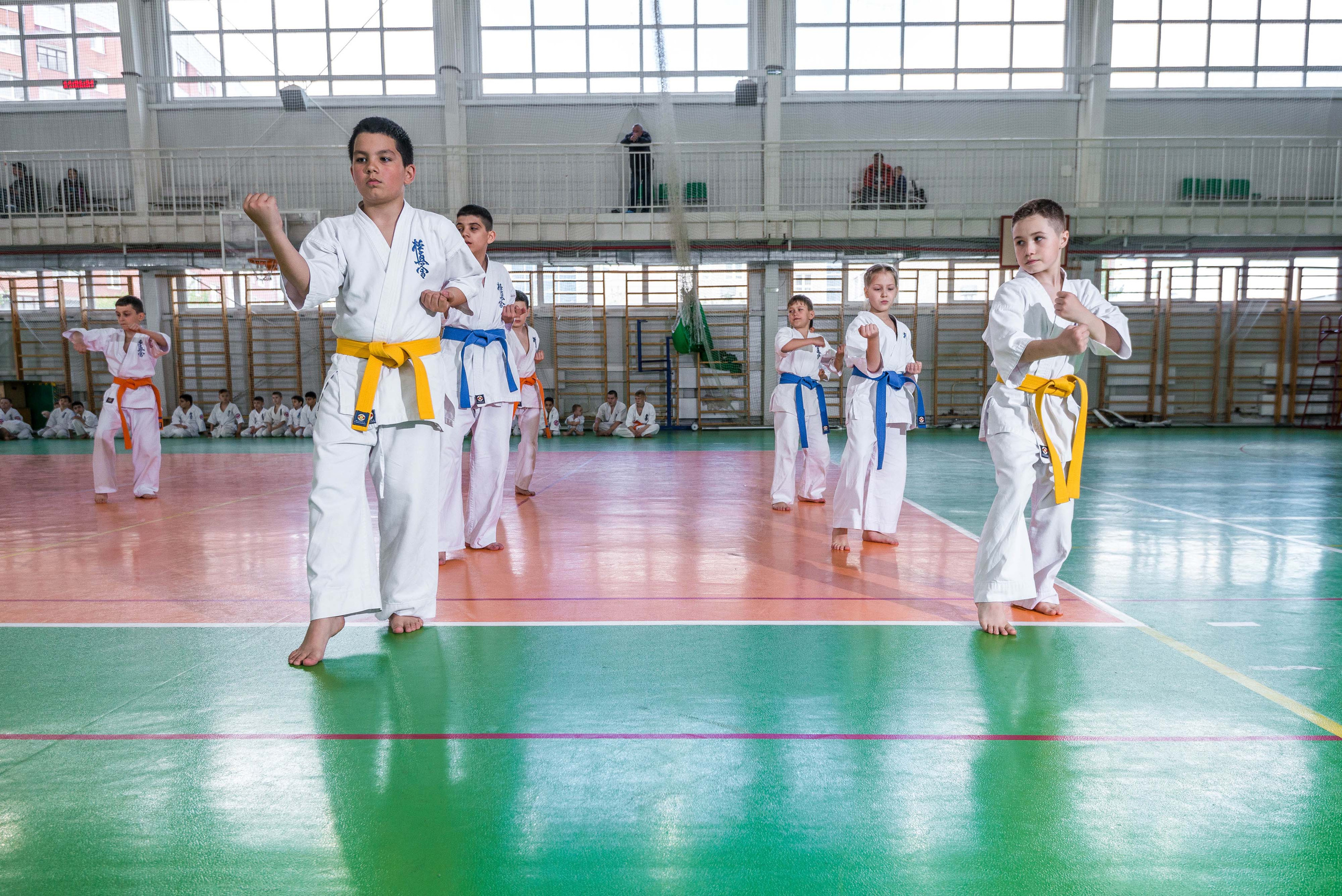 Аттестация киокошинкай клуб «ИППОН», Екатеринбург. Свадебный фотограф на Урале Виктор Соколов