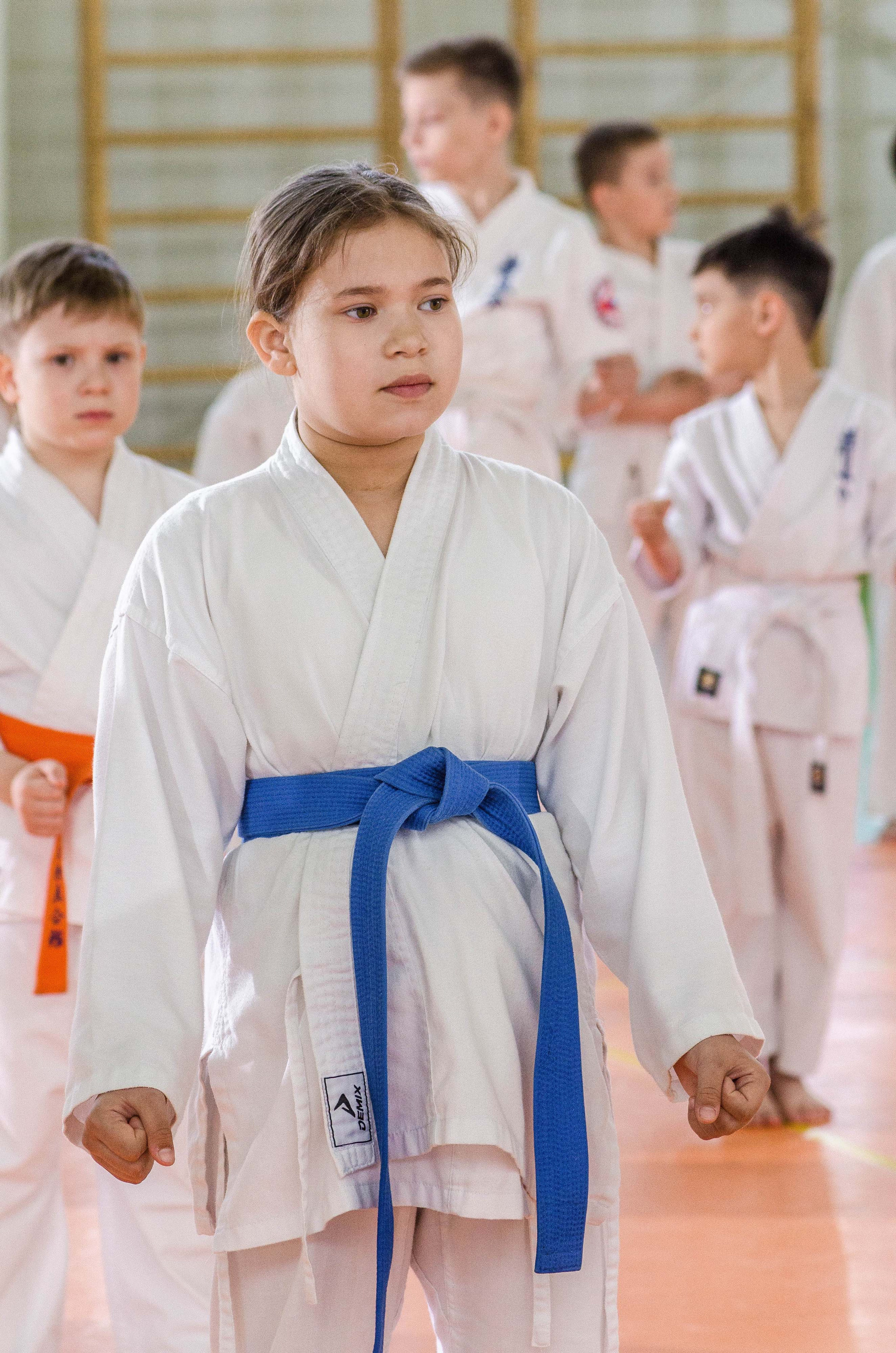 Аттестация киокошинкай клуб «ИППОН», Екатеринбург. Свадебный фотограф на Урале Виктор Соколов