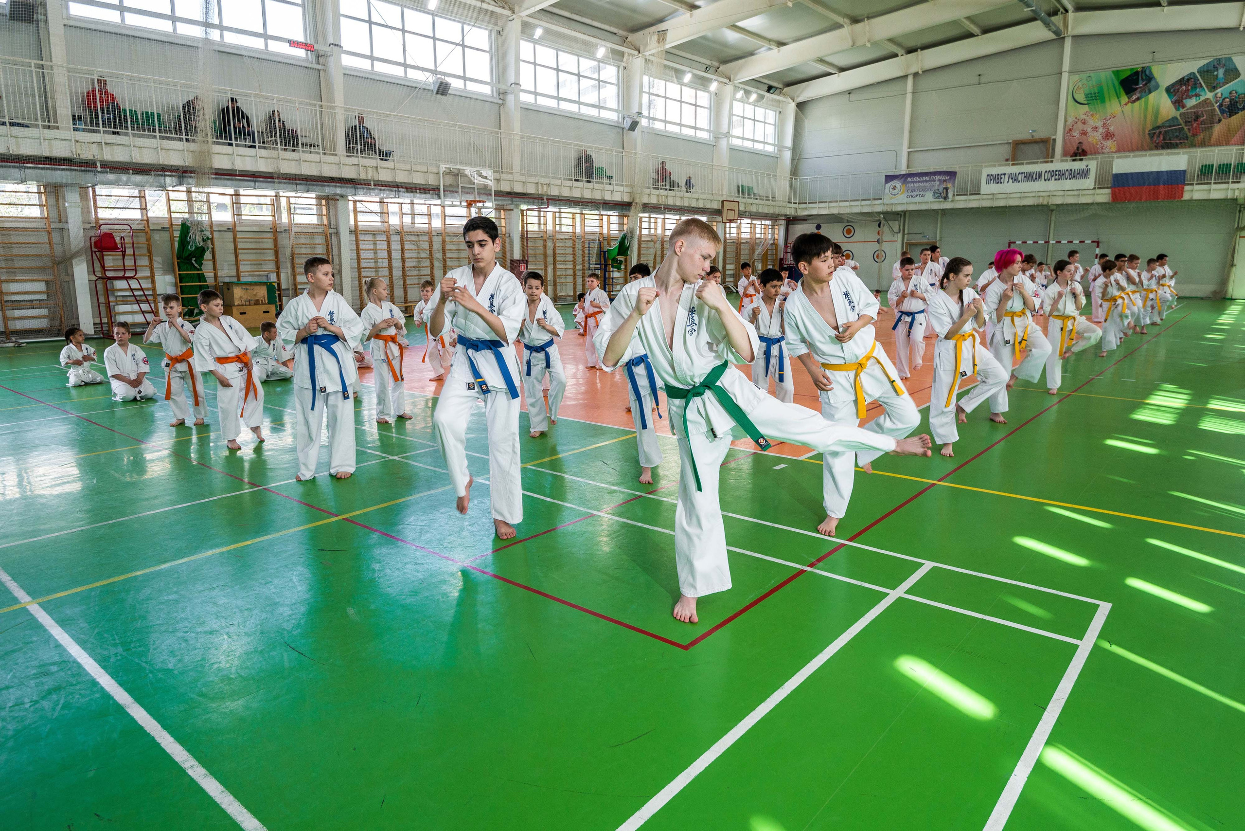 Аттестация киокошинкай клуб «ИППОН», Екатеринбург. Свадебный фотограф на Урале Виктор Соколов