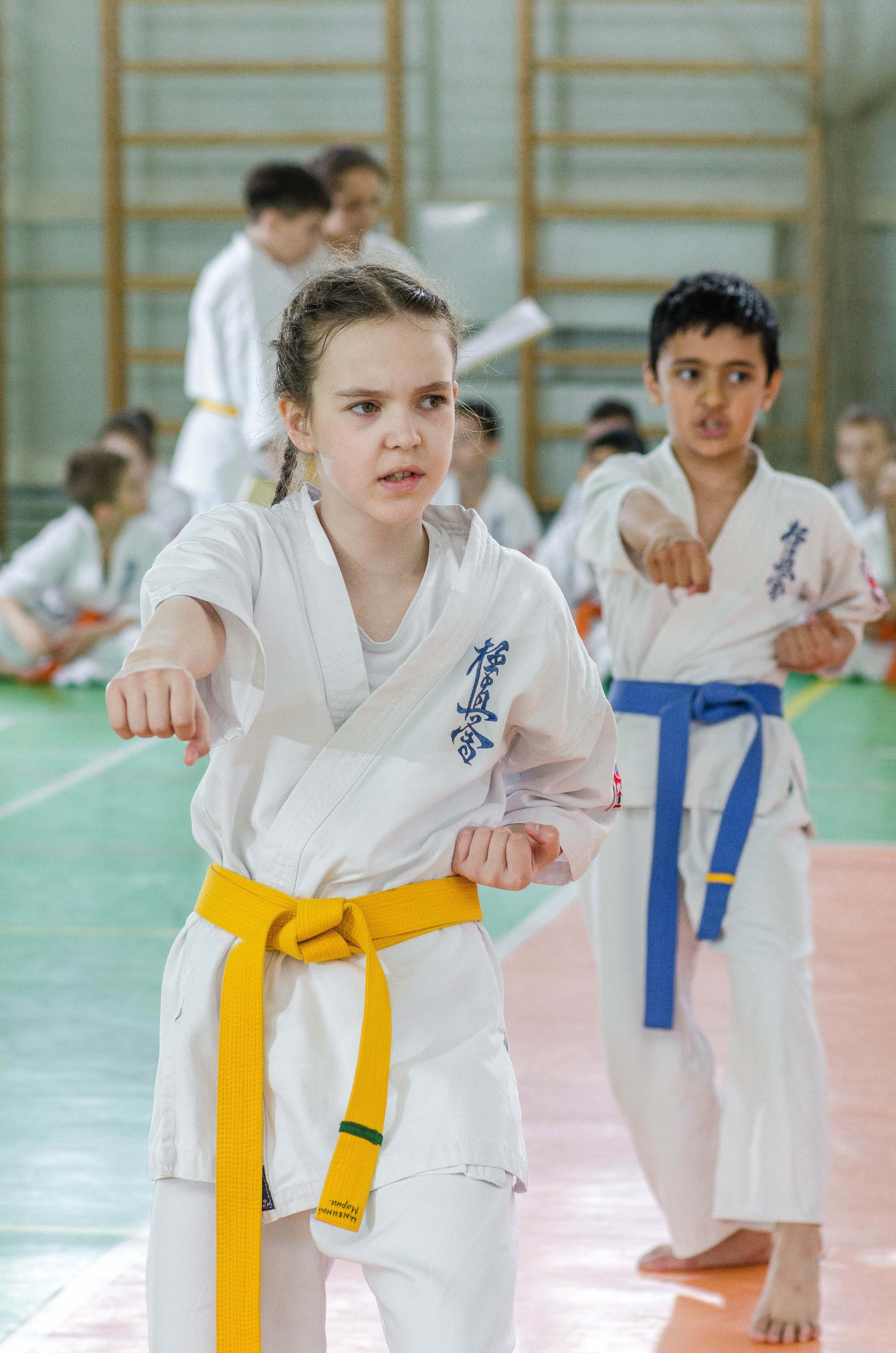 Аттестация киокошинкай клуб «ИППОН», Екатеринбург. Свадебный фотограф на Урале Виктор Соколов