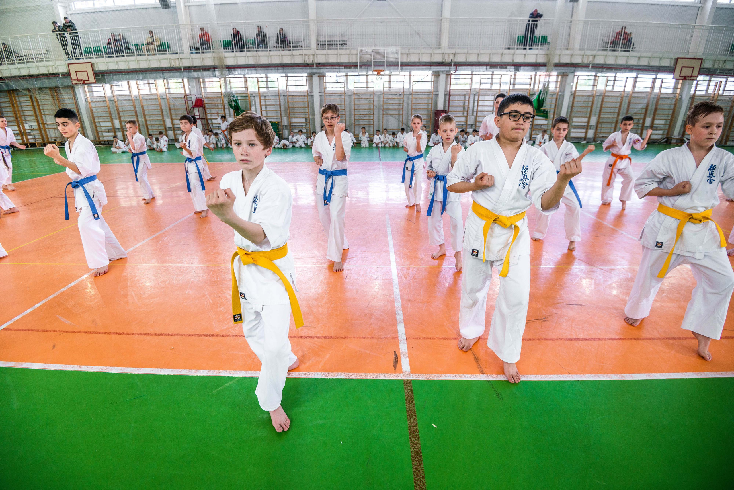 Аттестация киокошинкай клуб «ИППОН», Екатеринбург. Свадебный фотограф на Урале Виктор Соколов