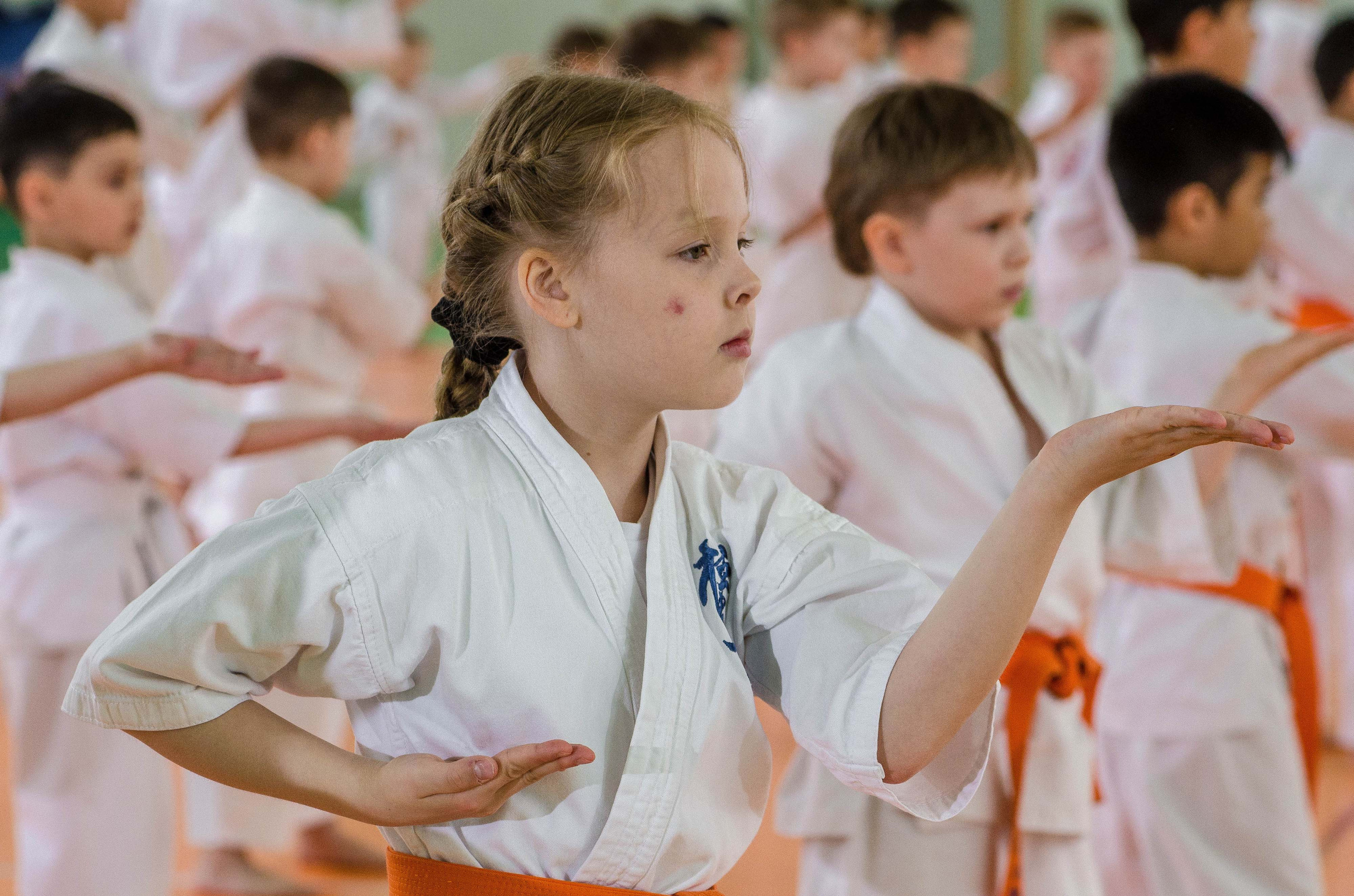 Аттестация киокошинкай клуб «ИППОН», Екатеринбург. Свадебный фотограф на Урале Виктор Соколов