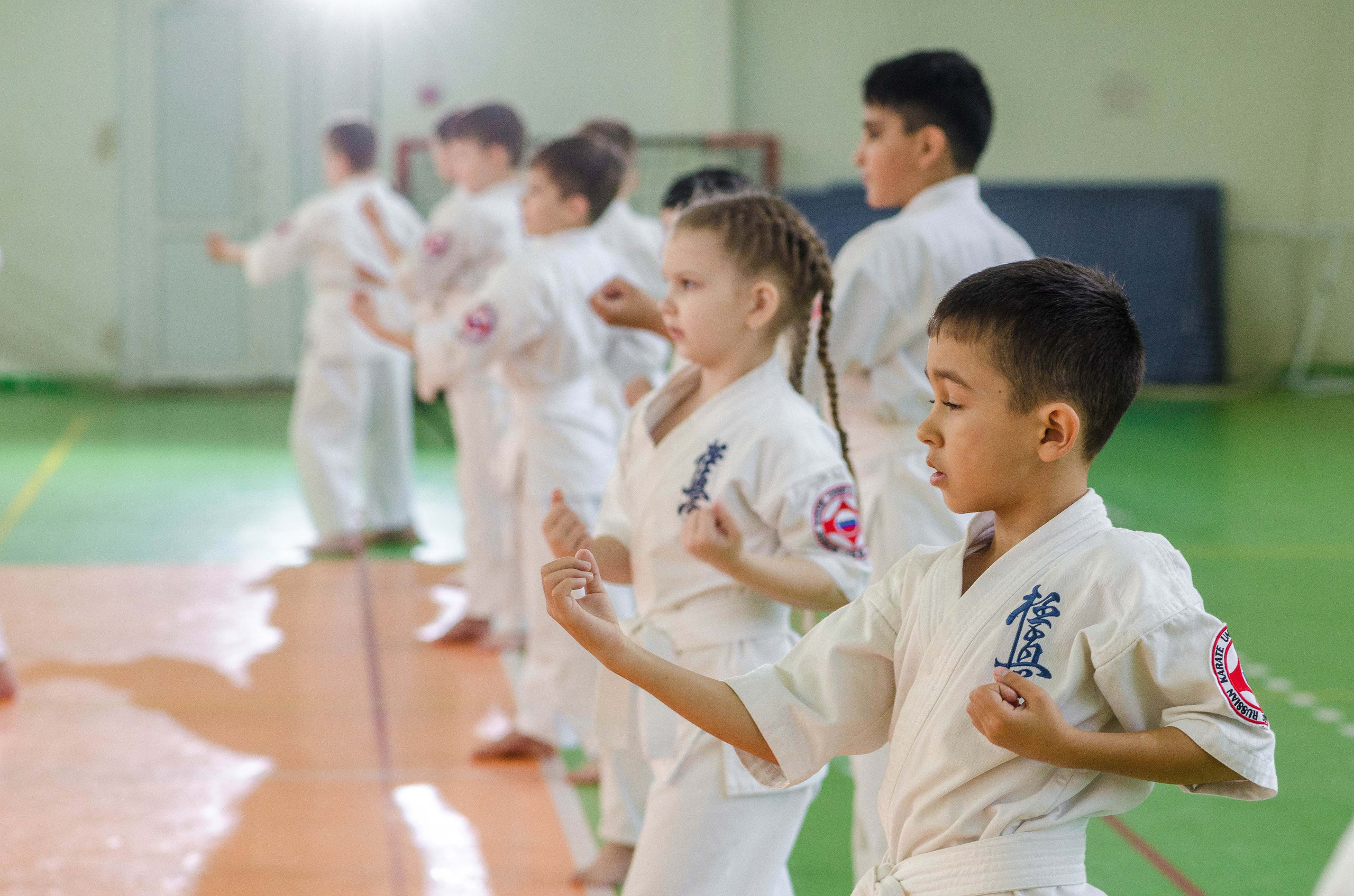 Аттестация киокошинкай клуб «ИППОН», Екатеринбург. Свадебный фотограф на Урале Виктор Соколов